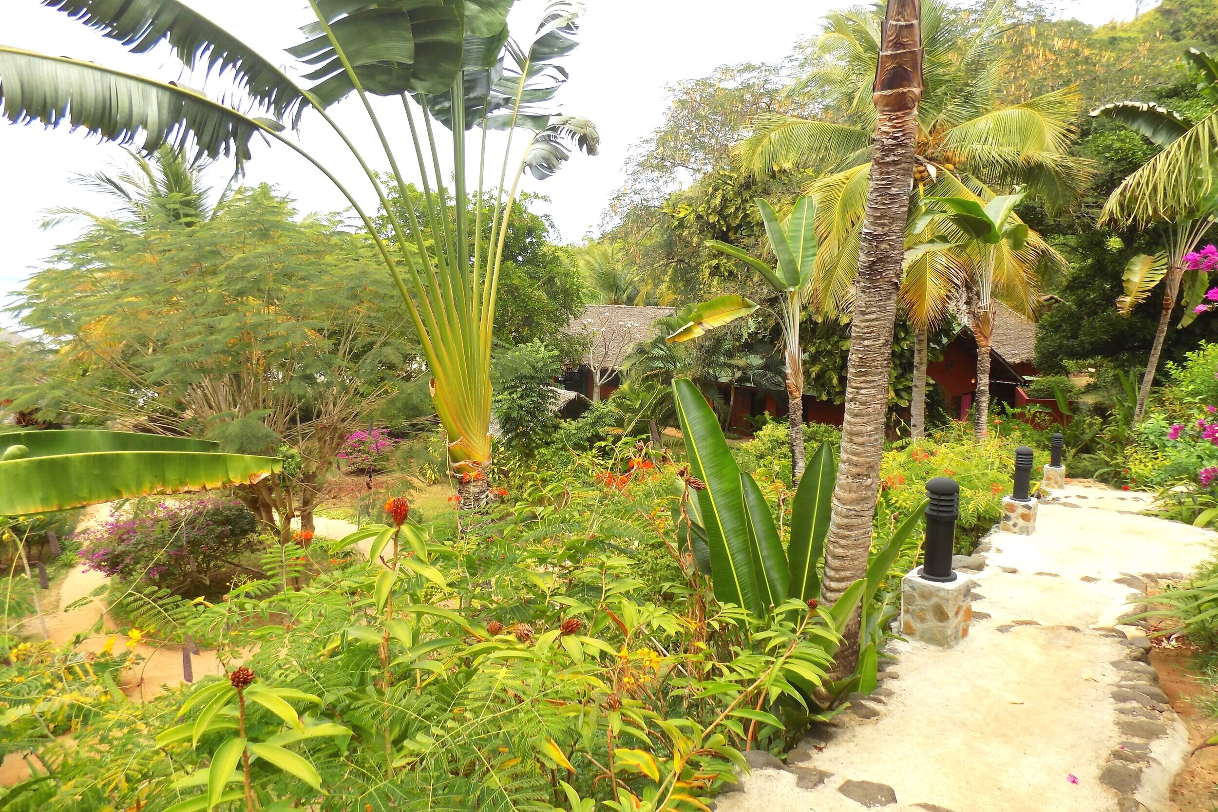 Ravinala bungalows gardens