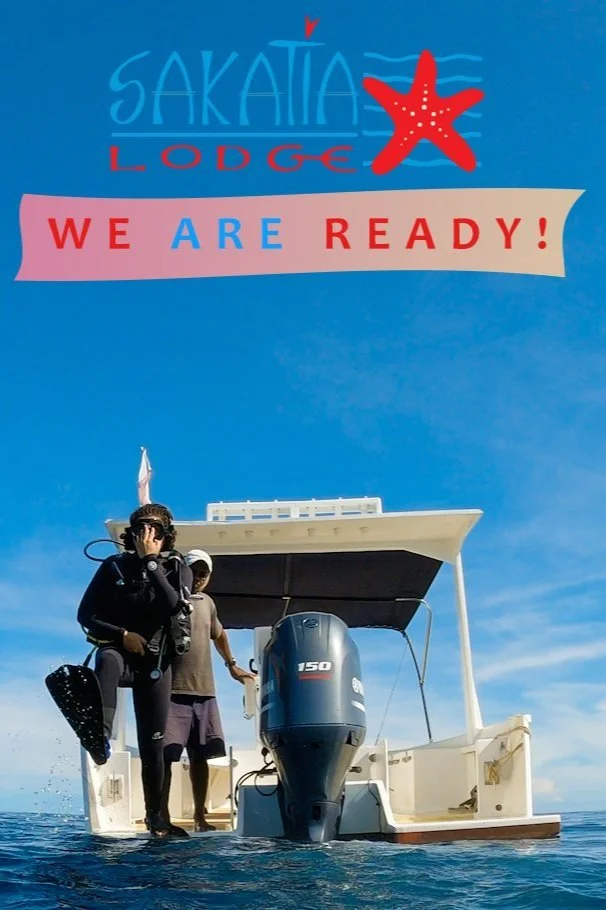 We are ready! Just missing you!