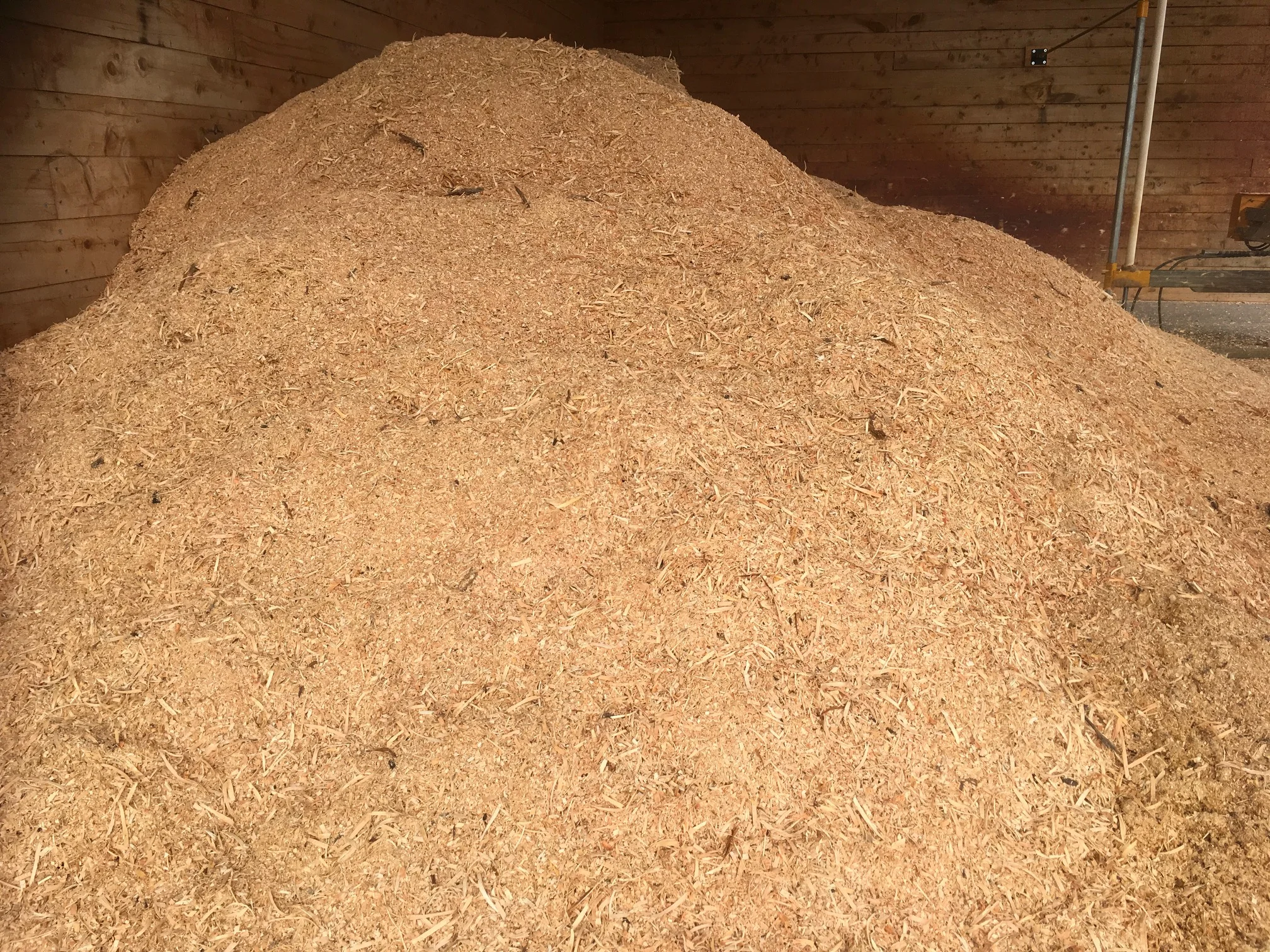 Sawdust