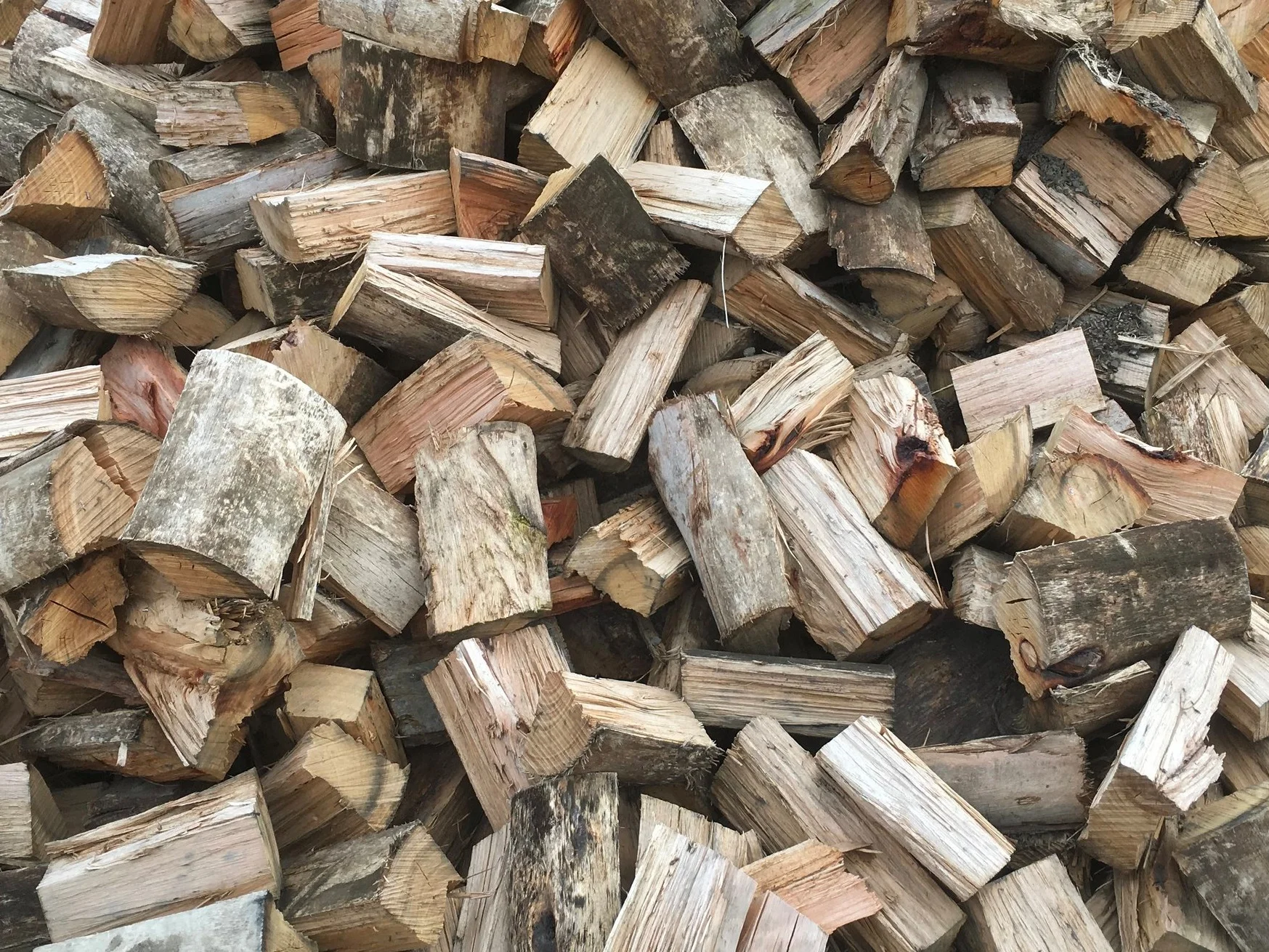 Blue Gum Firewood