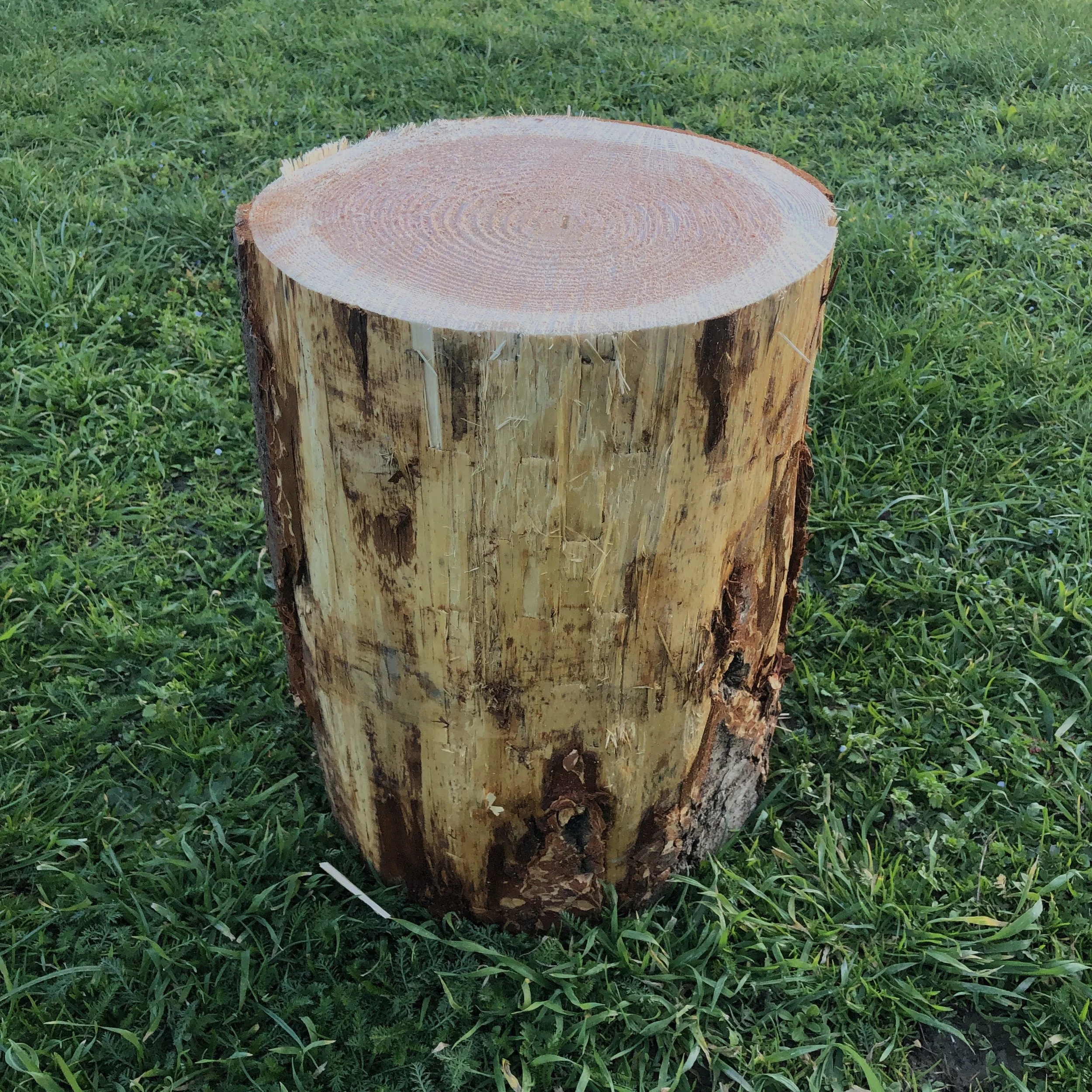 Blue Gum Firewood — Loburn Sawmill