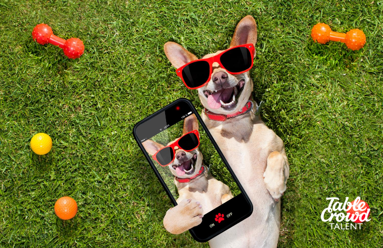 Use these apps to be more attractive to tech startups and employers