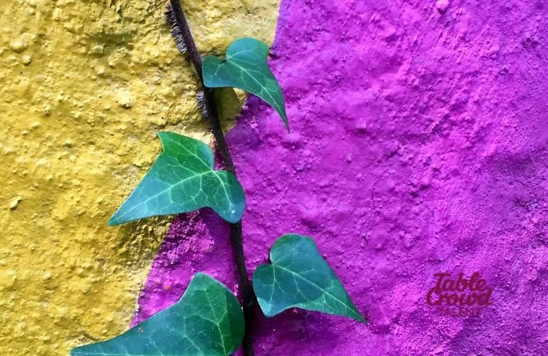 Hiring resilient staff for your startup