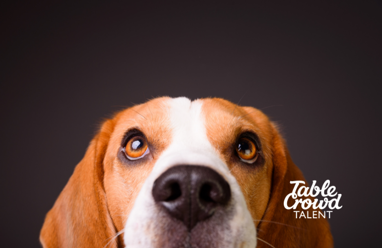 Are you asking the right questions during the interview?
