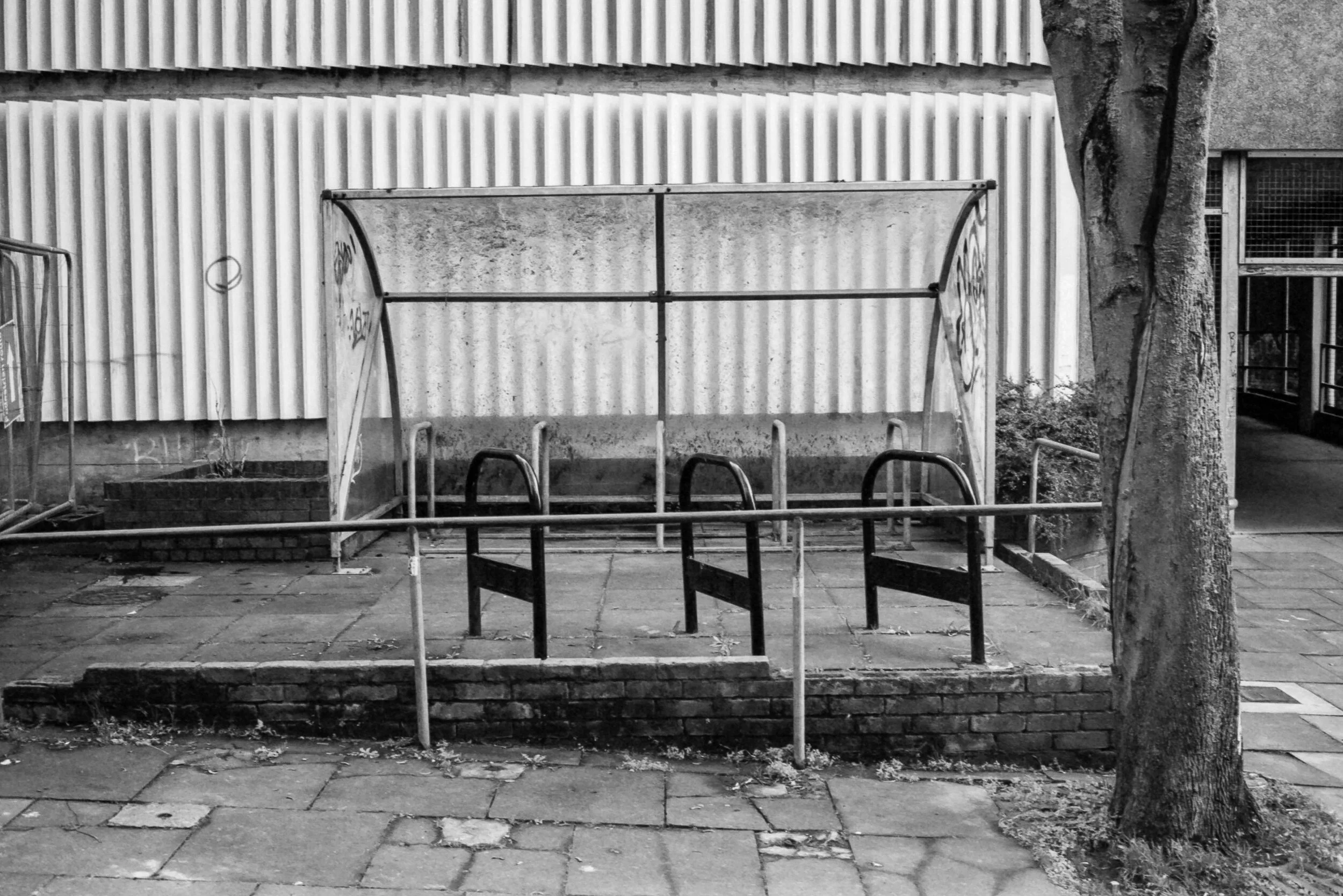 Share the wealth - Film Photography.