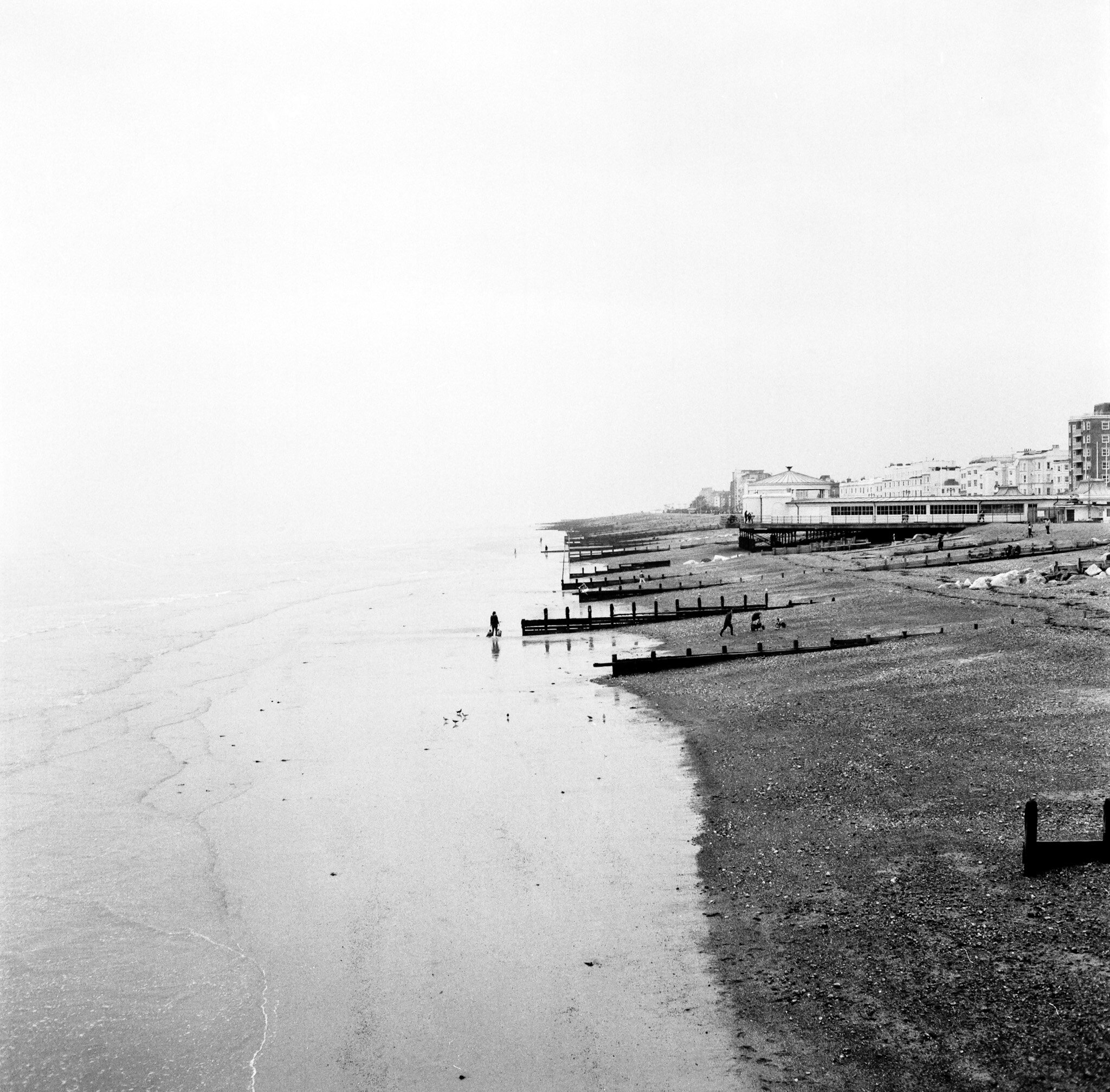 20201114_hp5ei200124g9.jpeg