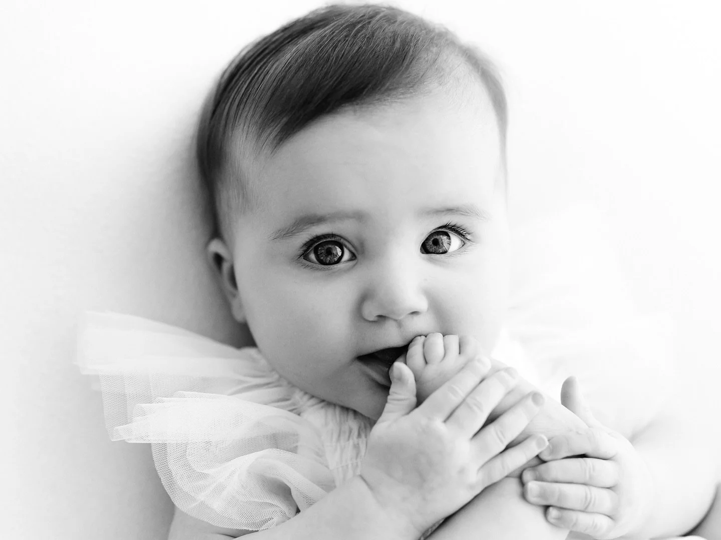 Amelia just discovering her sweet little toes ♡︎

Melbourne Baby Photographer 

#susannelilleyphotography
#melbournebabyphotographer #melbournebaby #melbournemumsandbubs 
#babyportrait #babytoes #melbournechildphotography