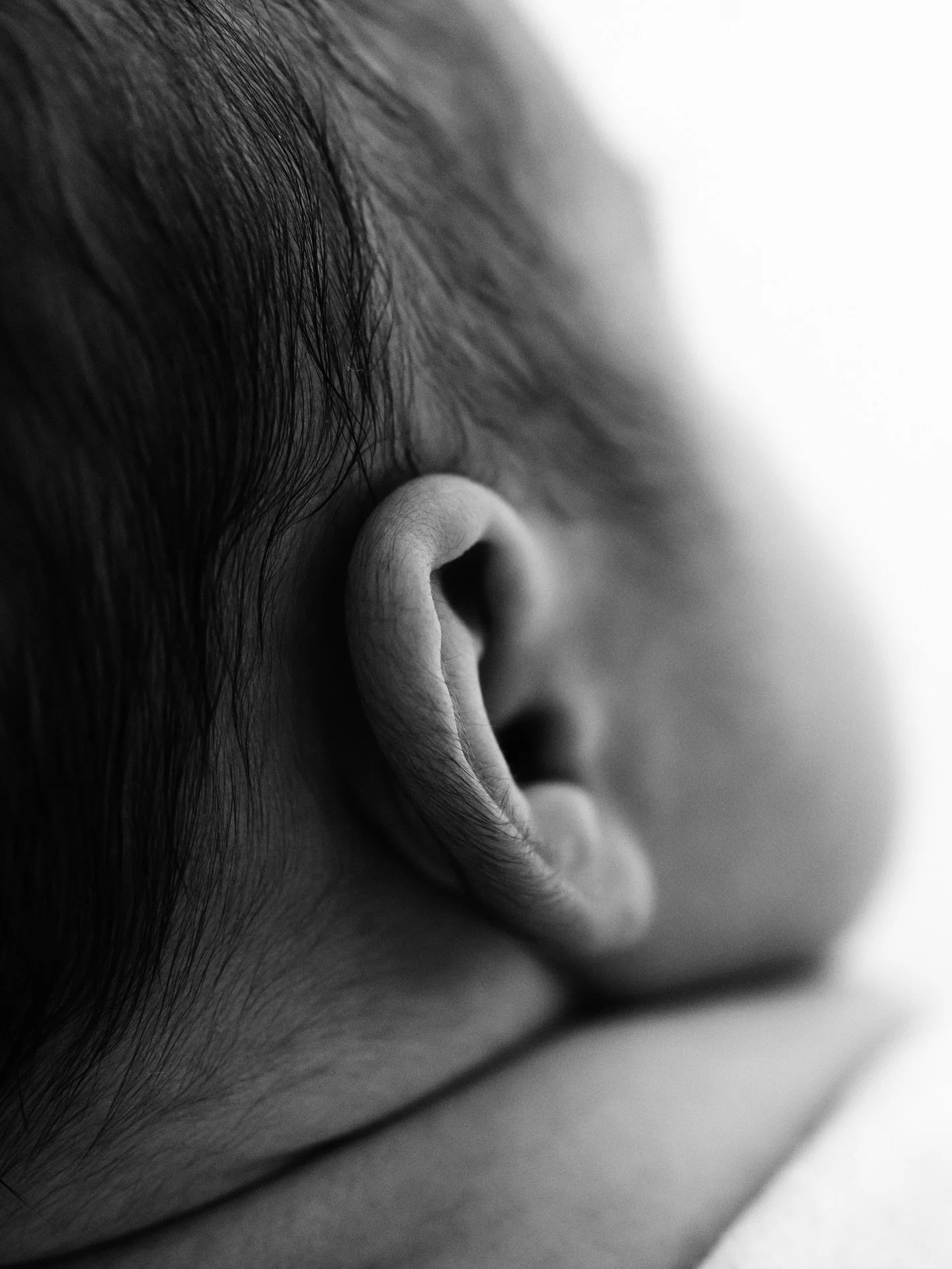 This sweet little ear deserves a place on the grid ♡︎

Melbourne Newborn Photographer

#melbournebabyphotographer #newbornphotography #melbournenewbornphotographer #babyphotography #babydetails #detaillover #bnw_greatshots #bnw_detaillovers #canonmac