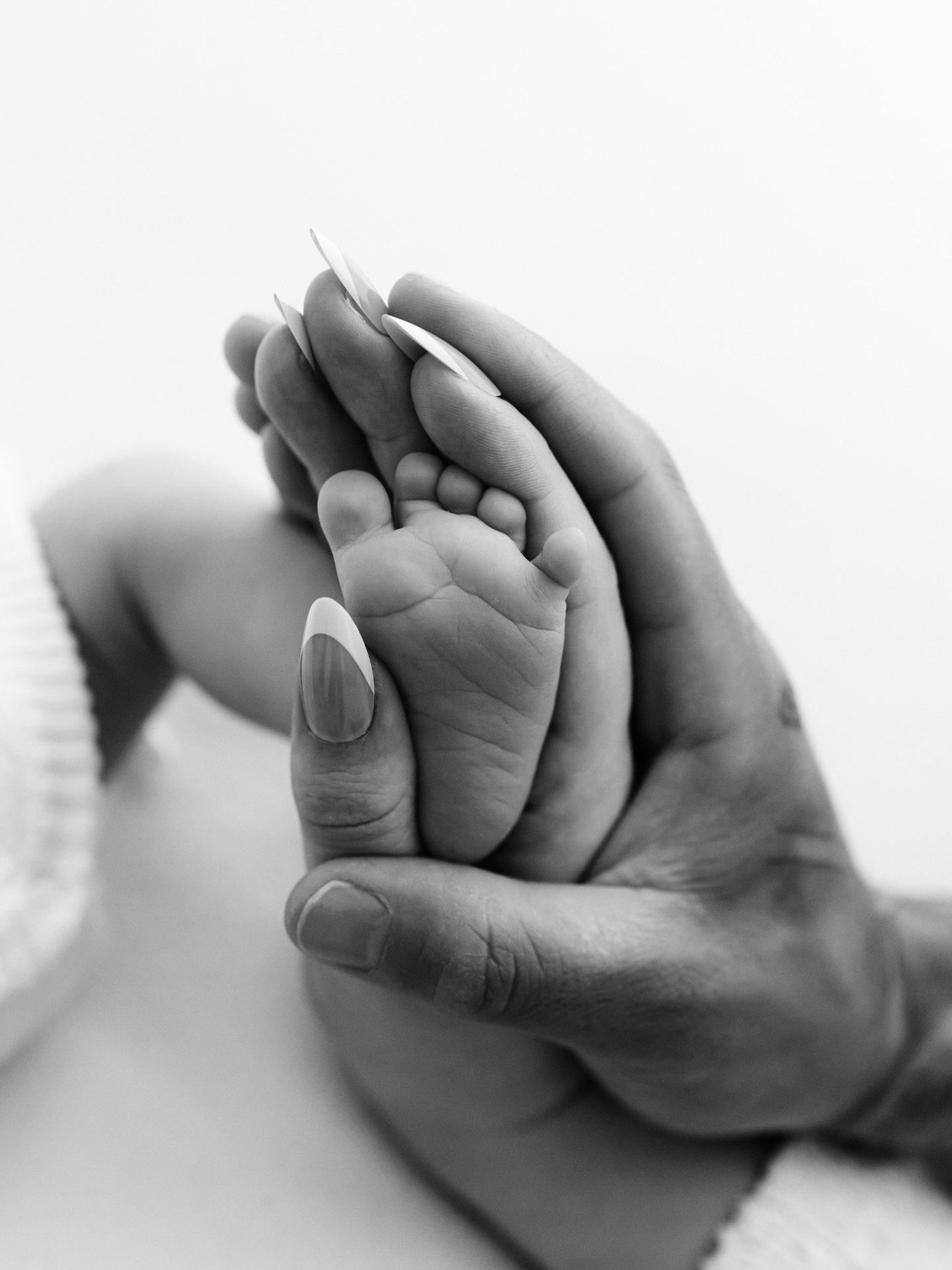 The perfect fit ♡︎

Melbourne Newborn  Photographer

#melbournebabyphotographer #newbornphotography #melbournenewbornphotographer #babyphotography #babydetails #detaillover #bnw_daily #bnwlovers #bnw_magic #bnw_detaillovers #bnw_littles