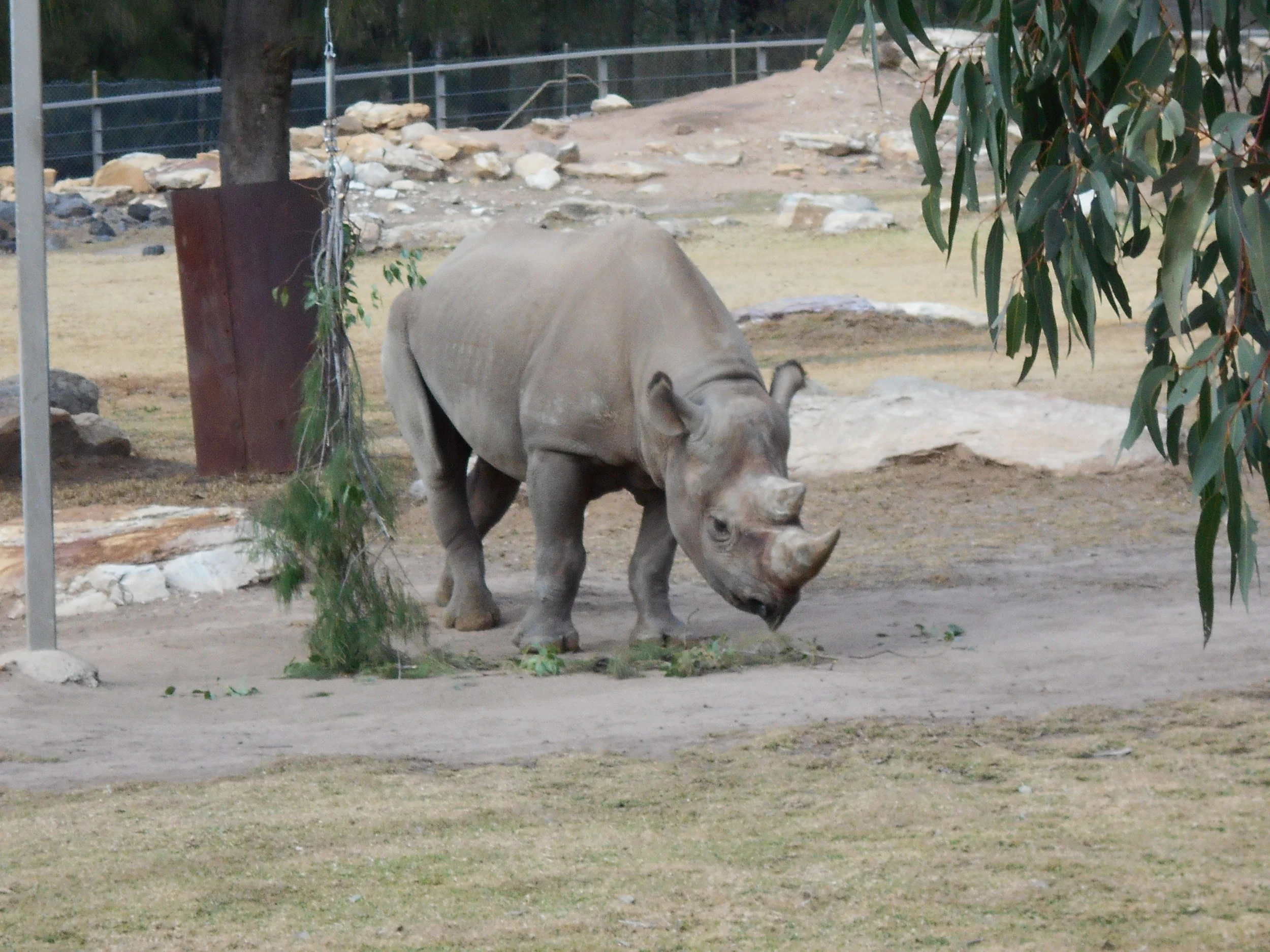 Hamish Camera_0006.JPG