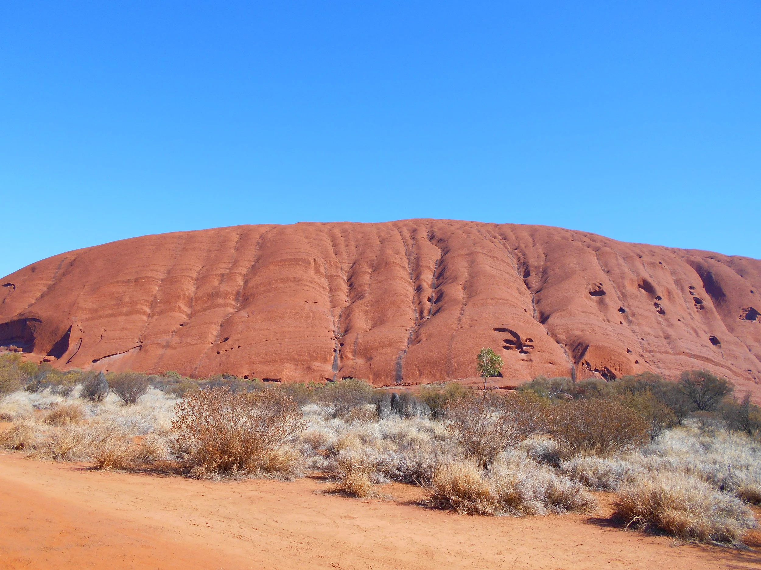 Hamish Camera_0076.JPG