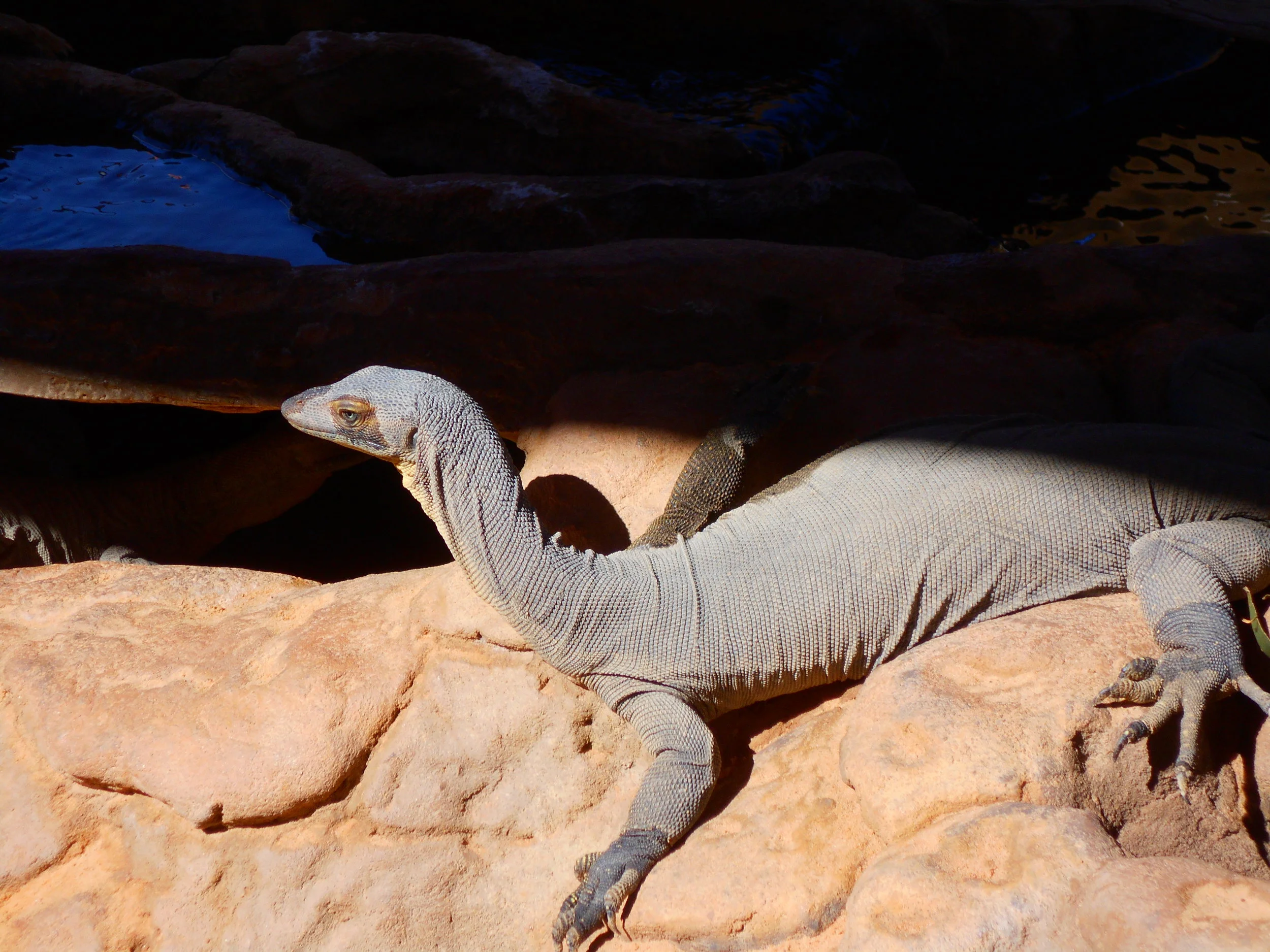 Hamish Camera_0169.JPG