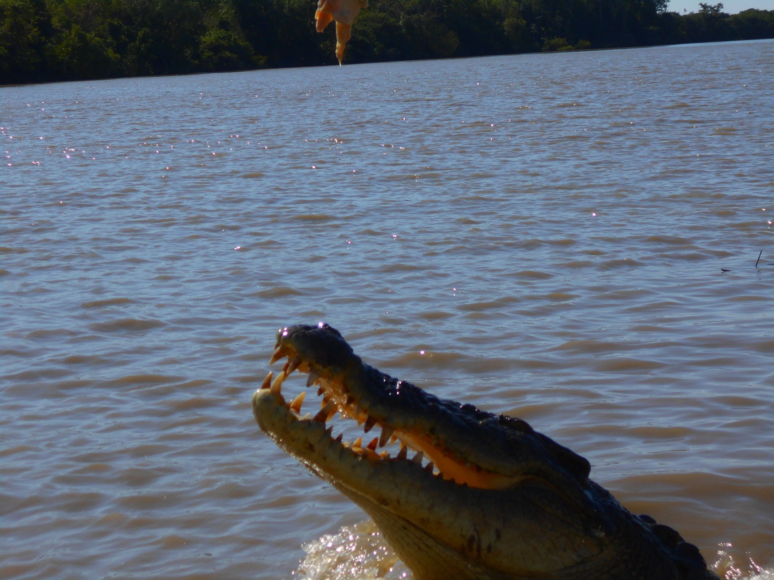 Hamish Camera_0263.JPG