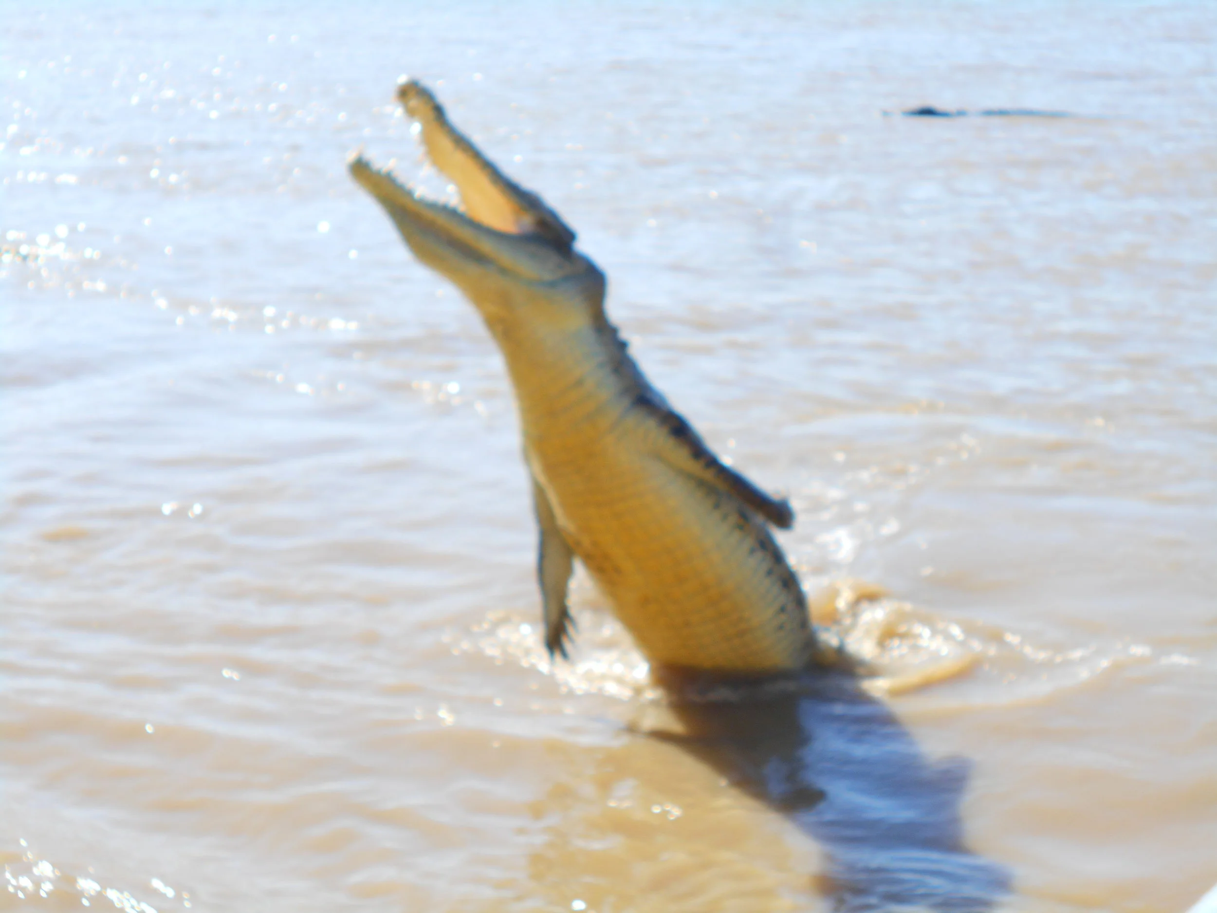 Liam Camera_1301.JPG