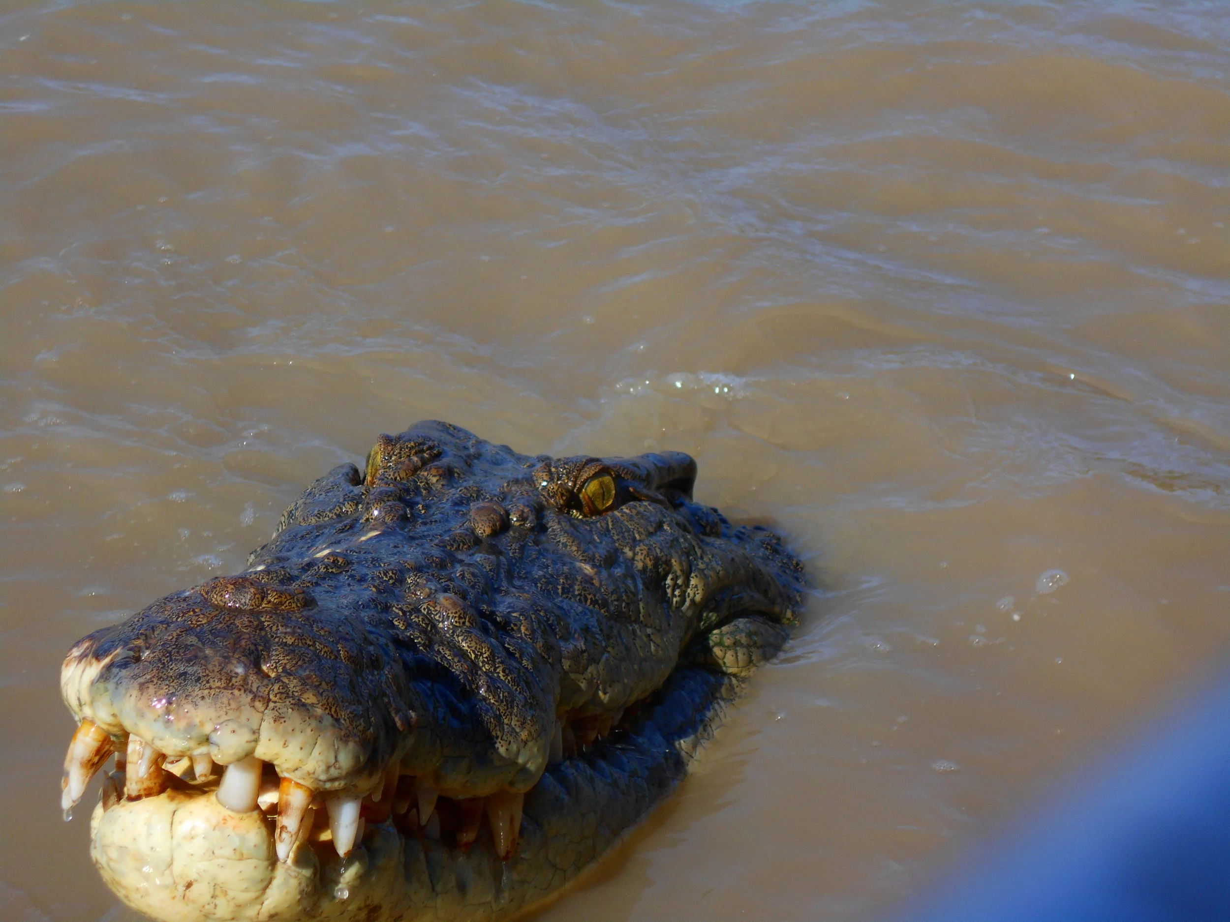 Hamish Camera_0269.JPG