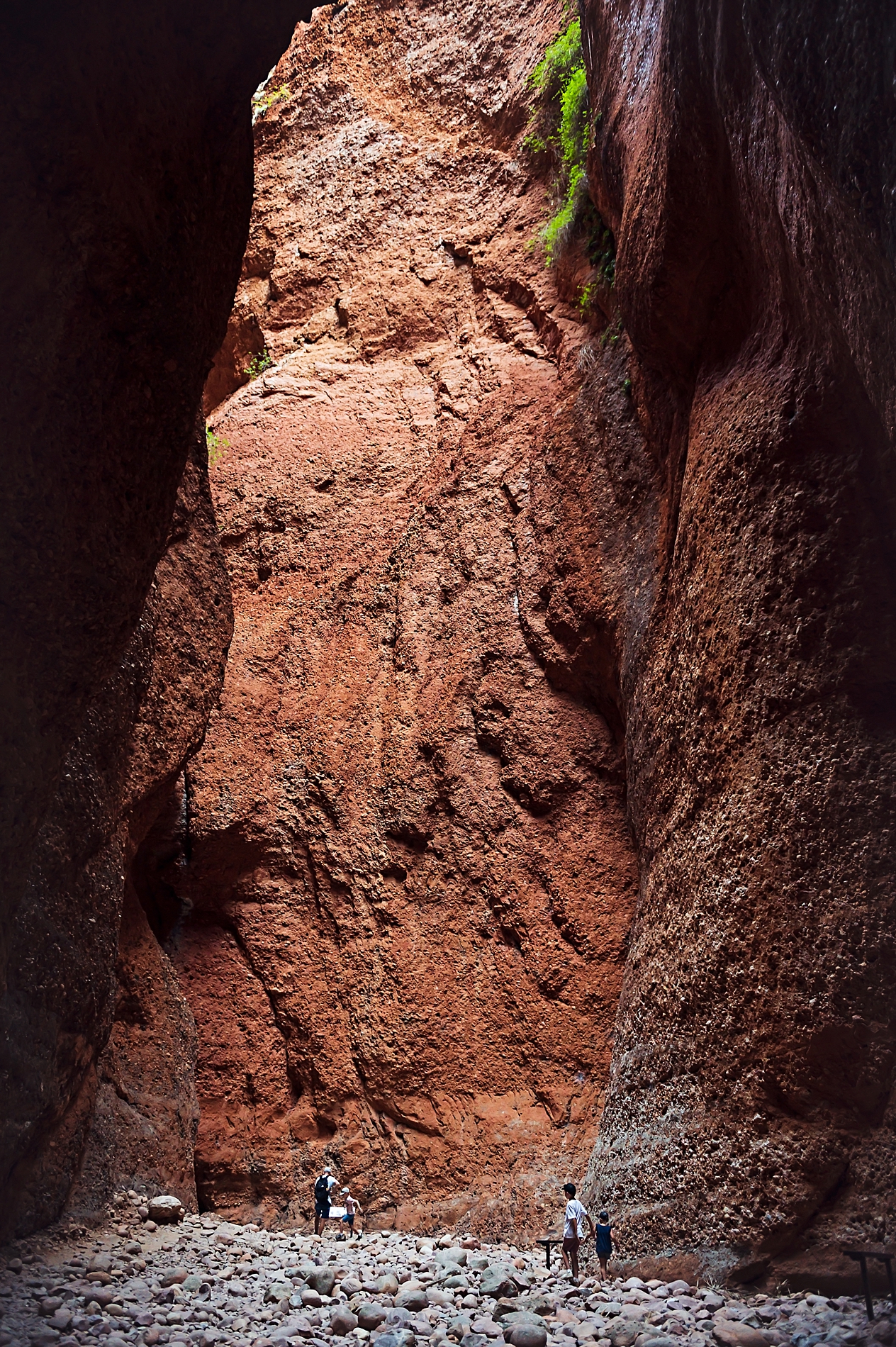 190807_N_Bungle Bungles_5138_WEB.jpg