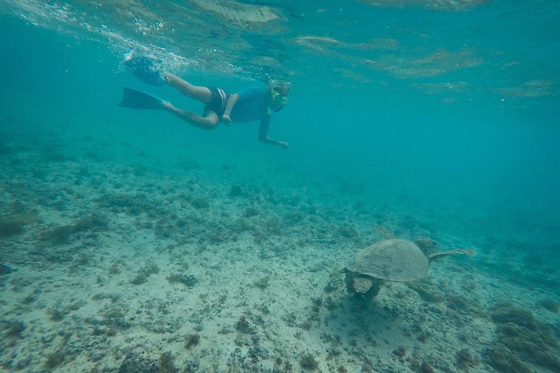 190823_GoPro_Osprey Bay_1412_WEB.jpg