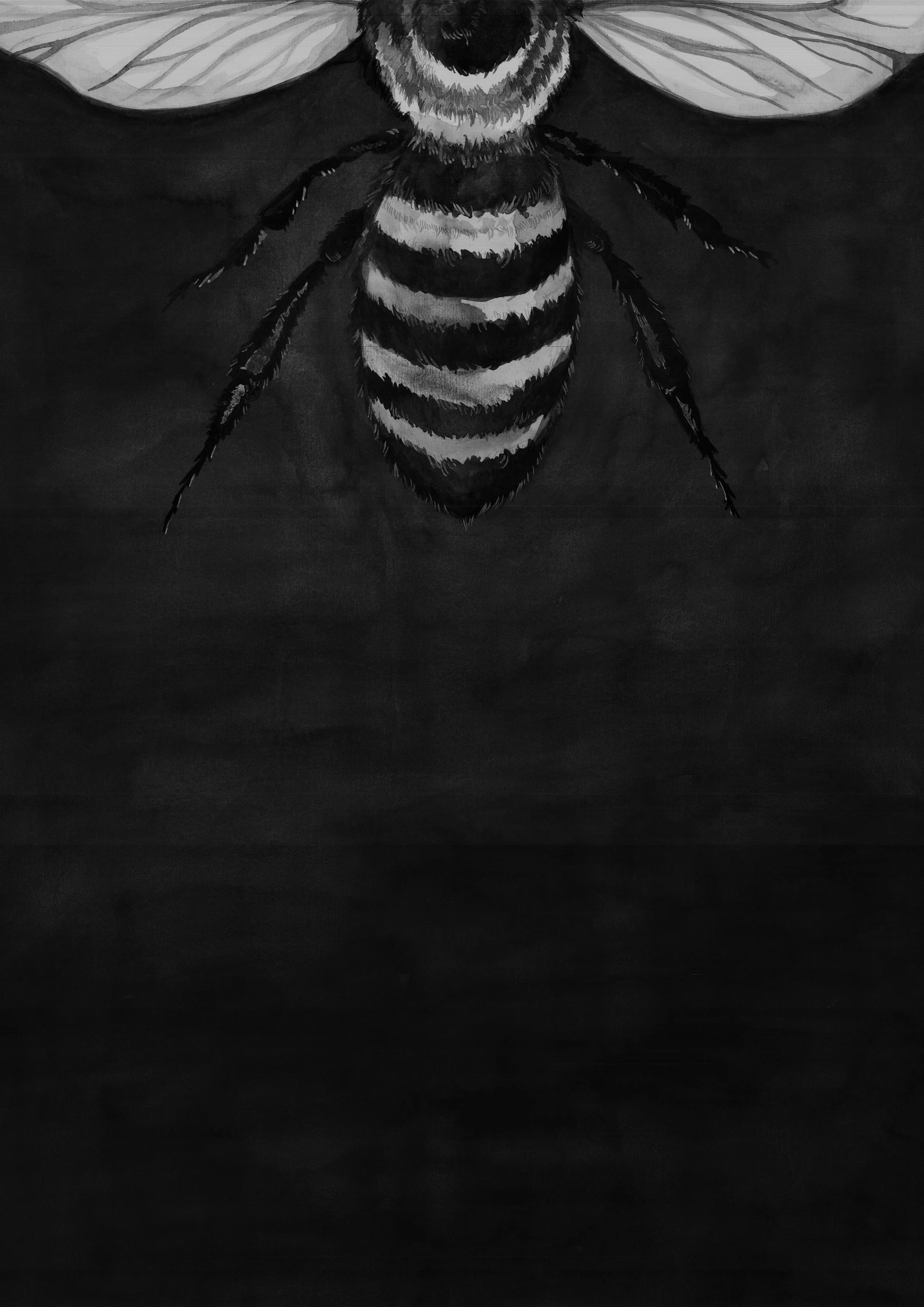 Walking Alone No.2 (back cover)