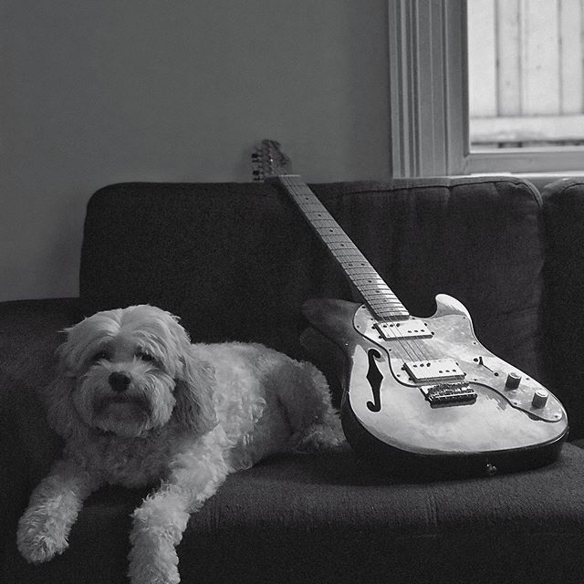 A couple more Abroad essentials. 
#spotify #newsong #essentials #music #newmusic #fender #guitar #cavoodle #dog #abroad #indie #electronic #sydney #melbourne