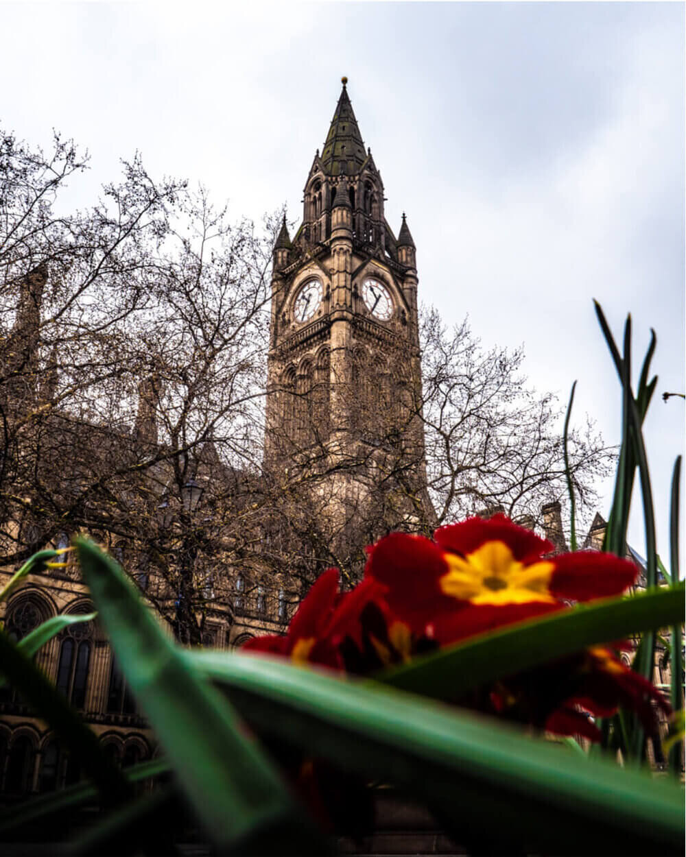 Manchester Town Hall with trees and flowers around it 