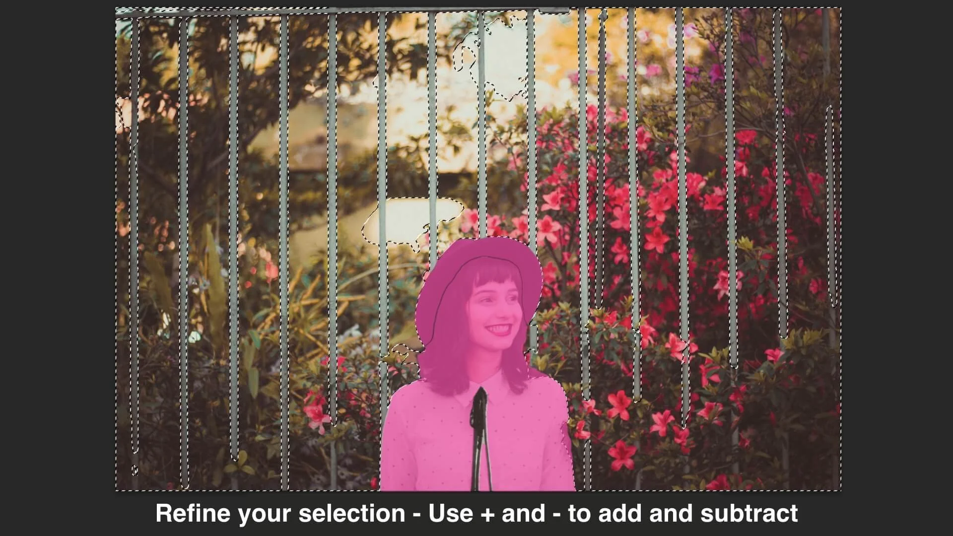 How to Easily Remove Bars or Railings from Photos Using 2024