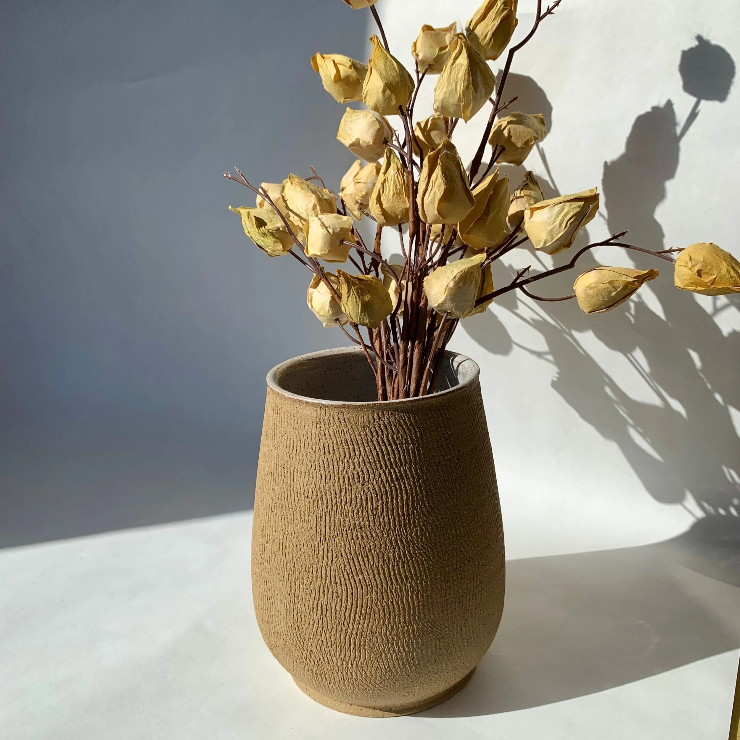 485ED81F-D877-478A-88F9-89DE88766C3C