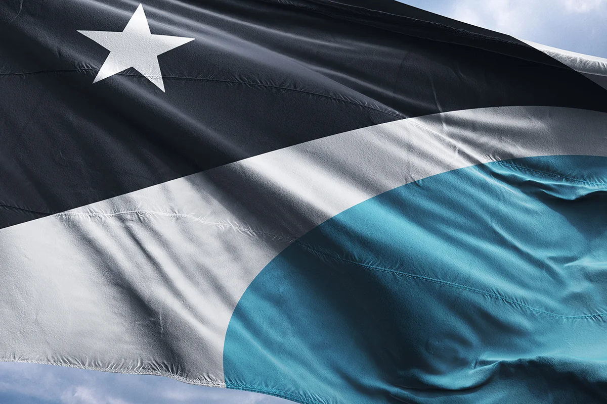 Detroit Rise Flag