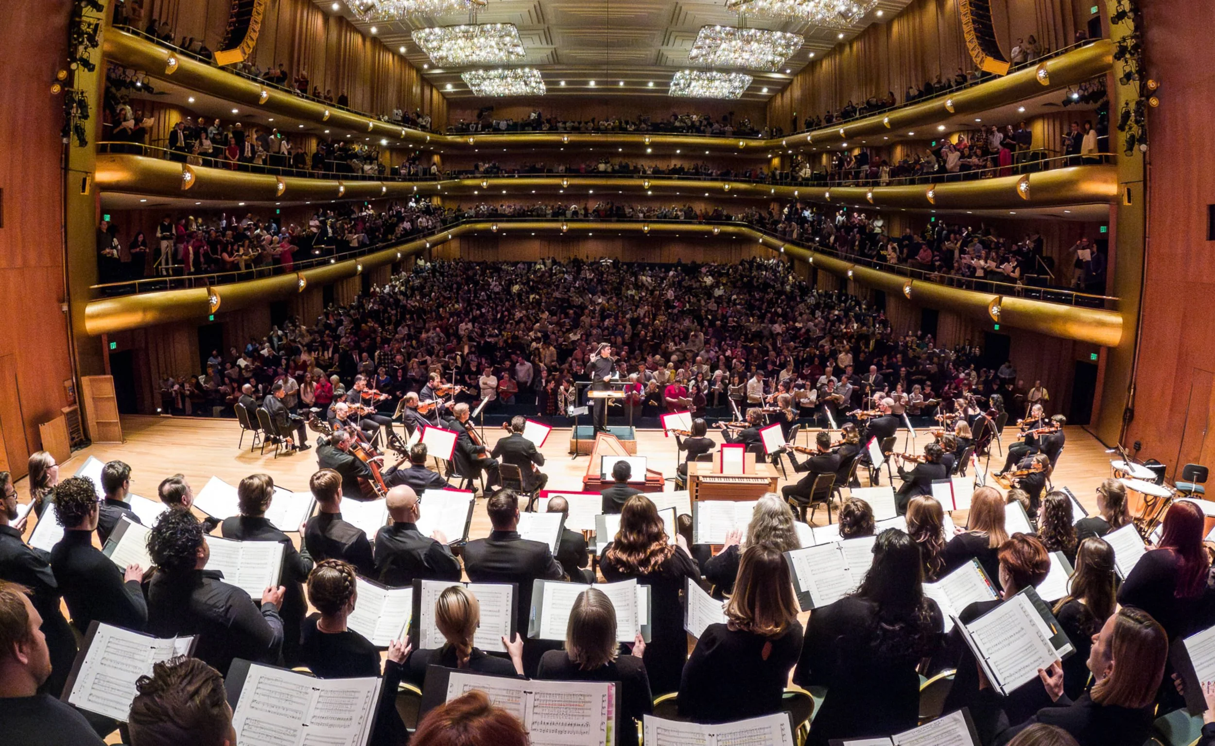 Teacher in "Hey Bravi!" with Utah Symphony