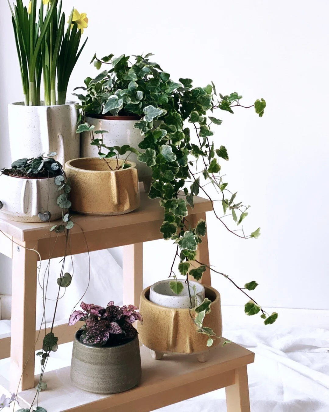 Vive les plantes 🌱 à défaut de pouvoir sortir et s’occuper de nos plantes dehors ☔️ chouchoutons nos plantes intérieures 🪴 
⠀⠀⠀⠀⠀⠀⠀⠀⠀
Merci pour vos nombreuses réponses à mon post d’hier. C’est s