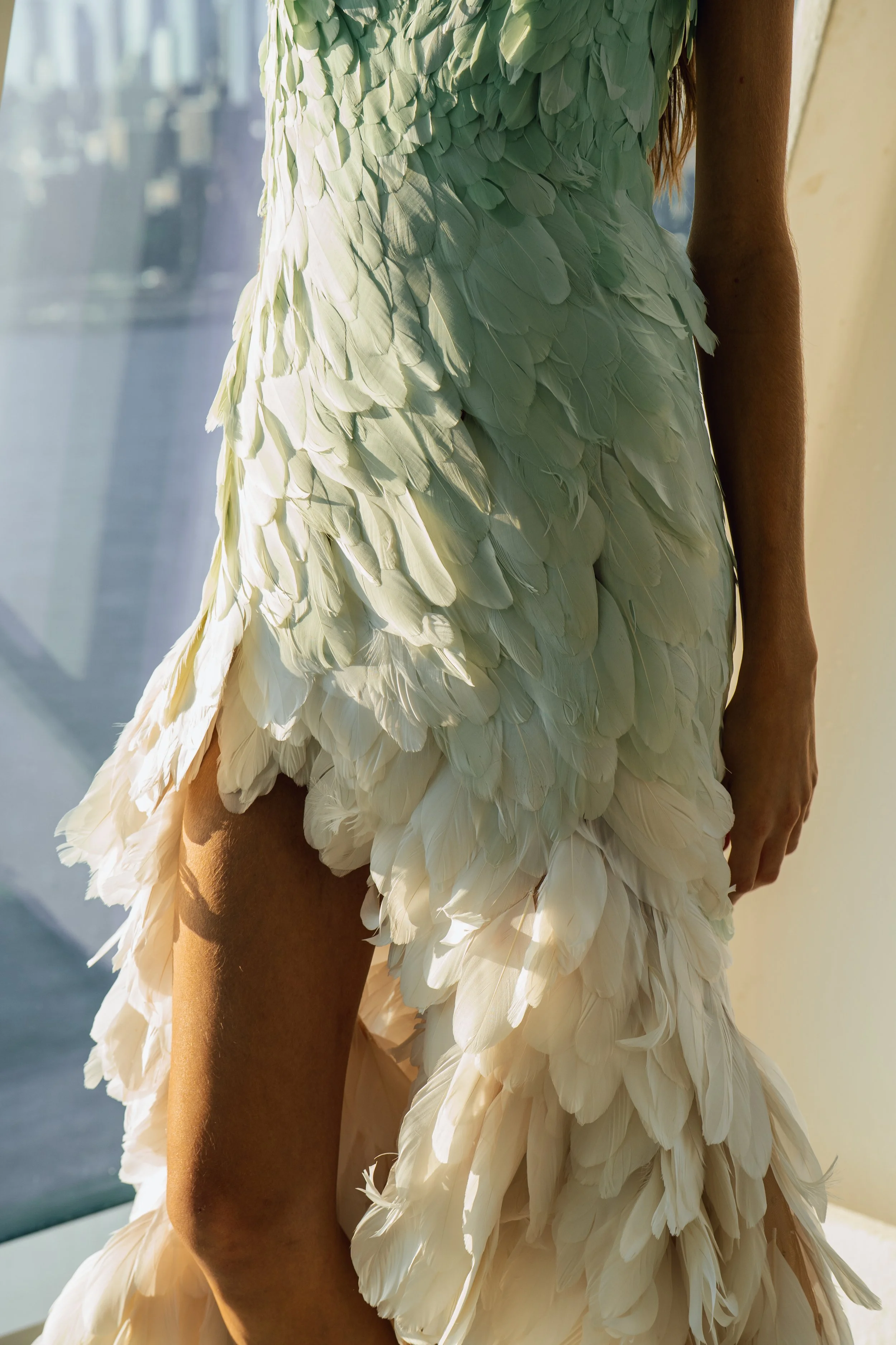 DSC08524.jpg