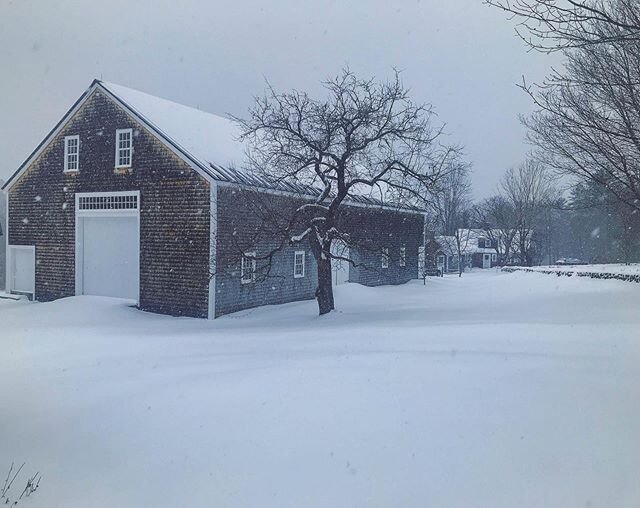 Wishing you and yours a very happy new year from our very snowy farm!