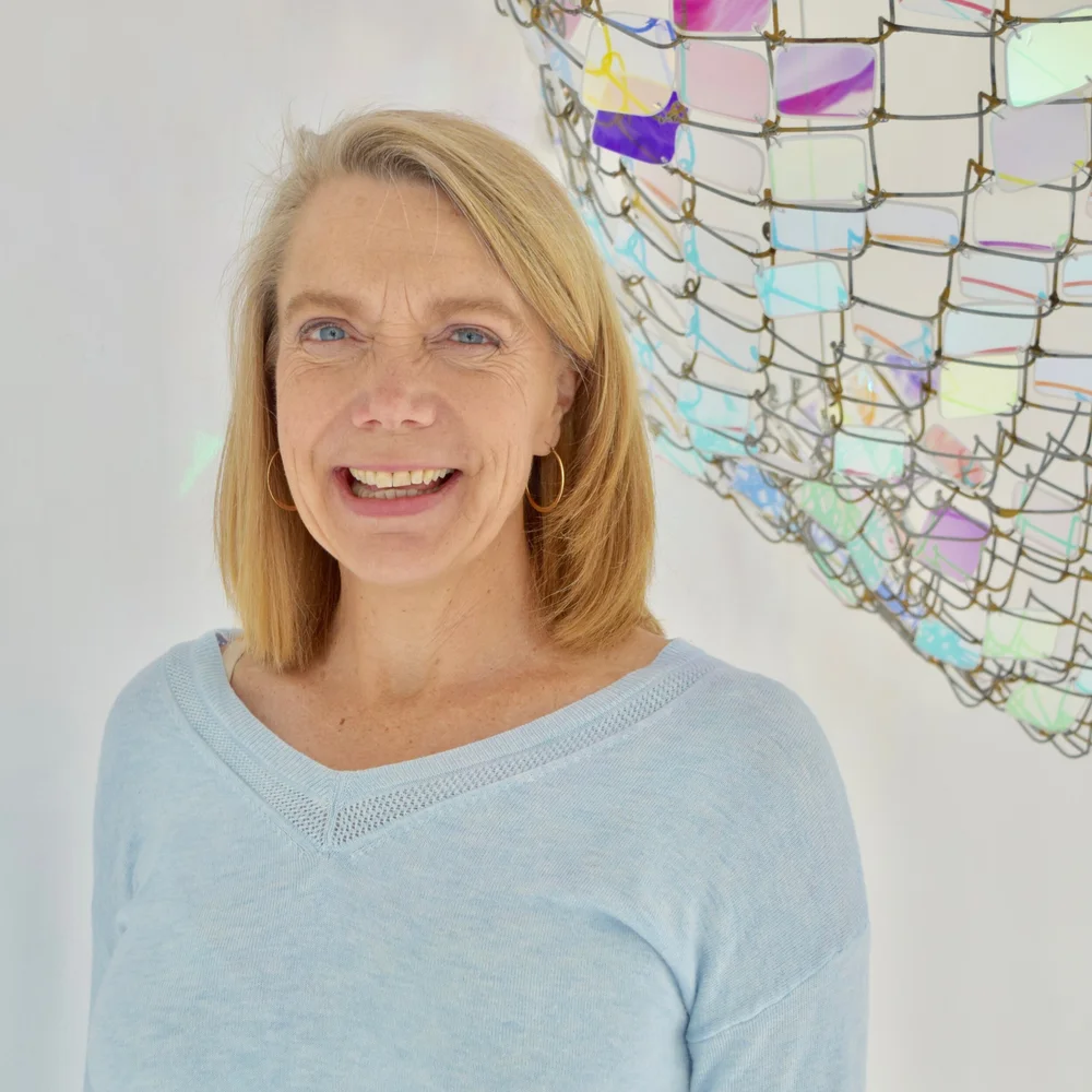 The Princess And The Pantsuit — Catherine Gentry