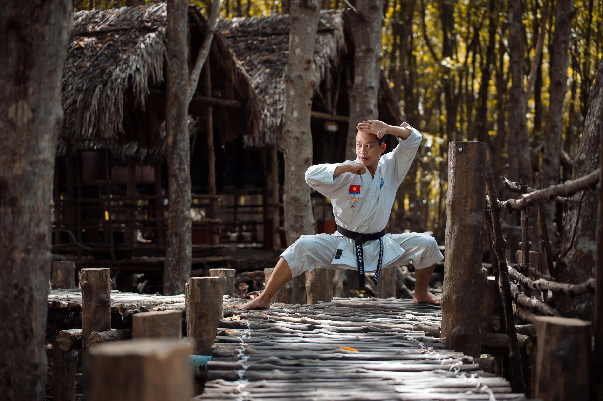 History of Kenpo Karate