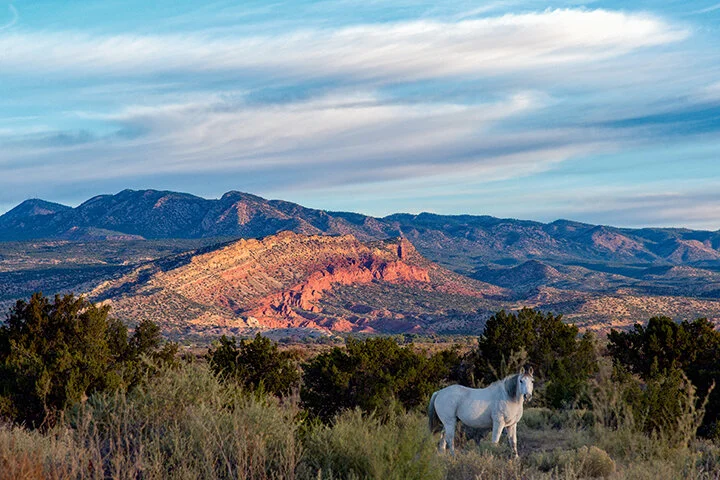 From the Pueblo to College: The Journey of Two Rural Students