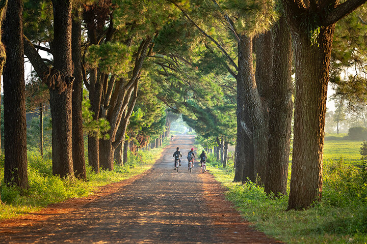 Children with Disabilities Living in Rural Areas
