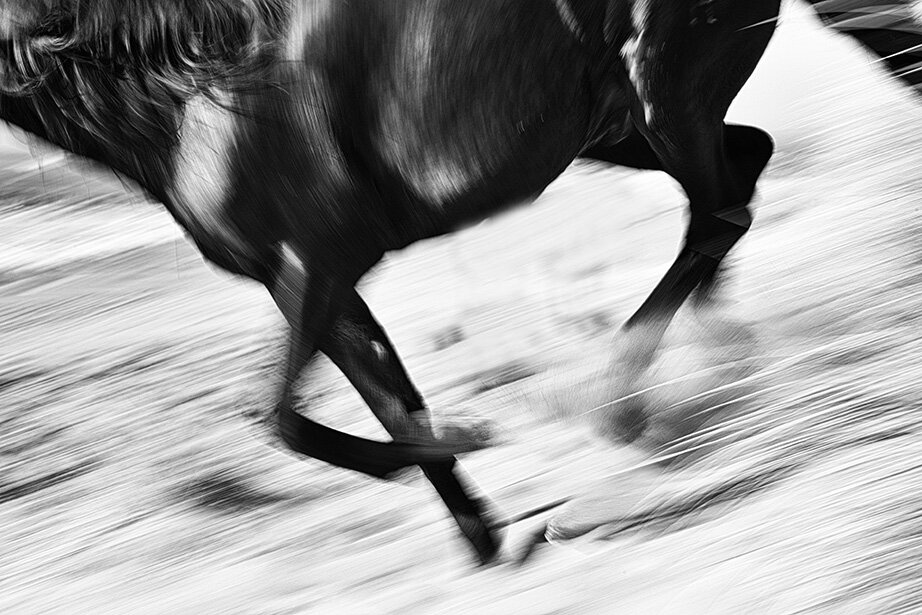 LR Black stallion on the beach camargue Crop B copy.jpg