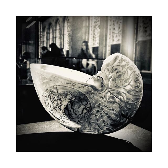 Artists Pledge: &lsquo;Natural History Museum Series - Engraved Shell&rsquo;. &pound;85 Limited Edition 200
Giclee printing using the Hahnem&uuml;hle Digital FineArt Collection on Photo Rag 308  Paper size 254x254mm/10x10&rdquo;. Tagged people under 