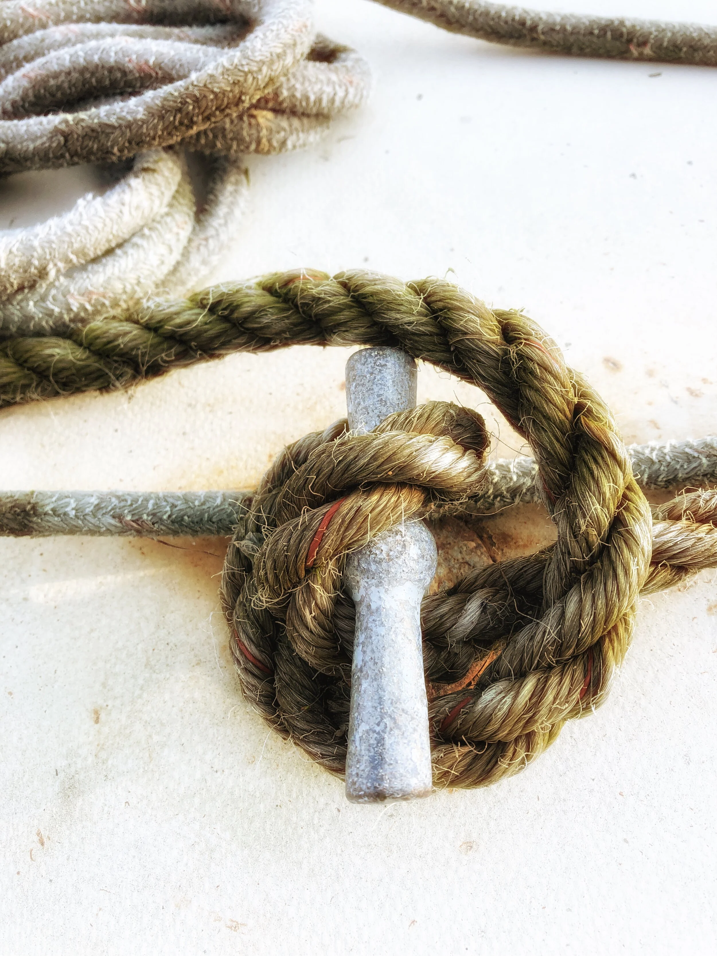 Rope detail by Ali Warner Photography © 2021.jpg