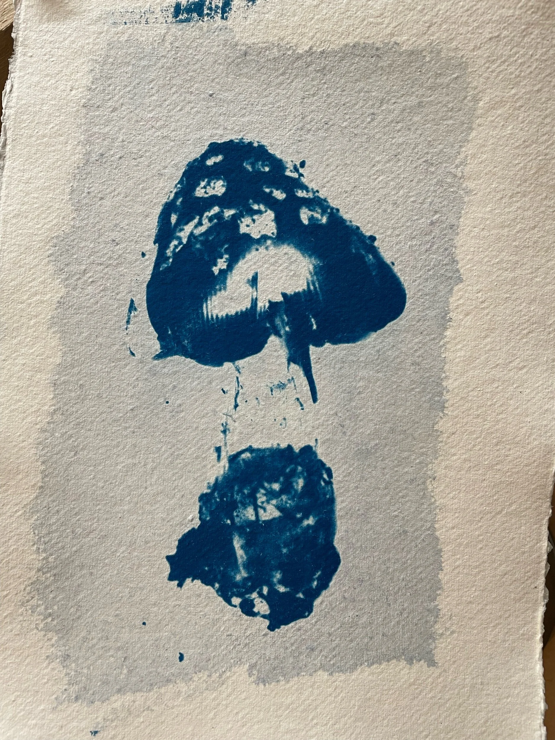 As yet unbathed mushroom, found on a dog walk locally. Waiting for a dye bath.