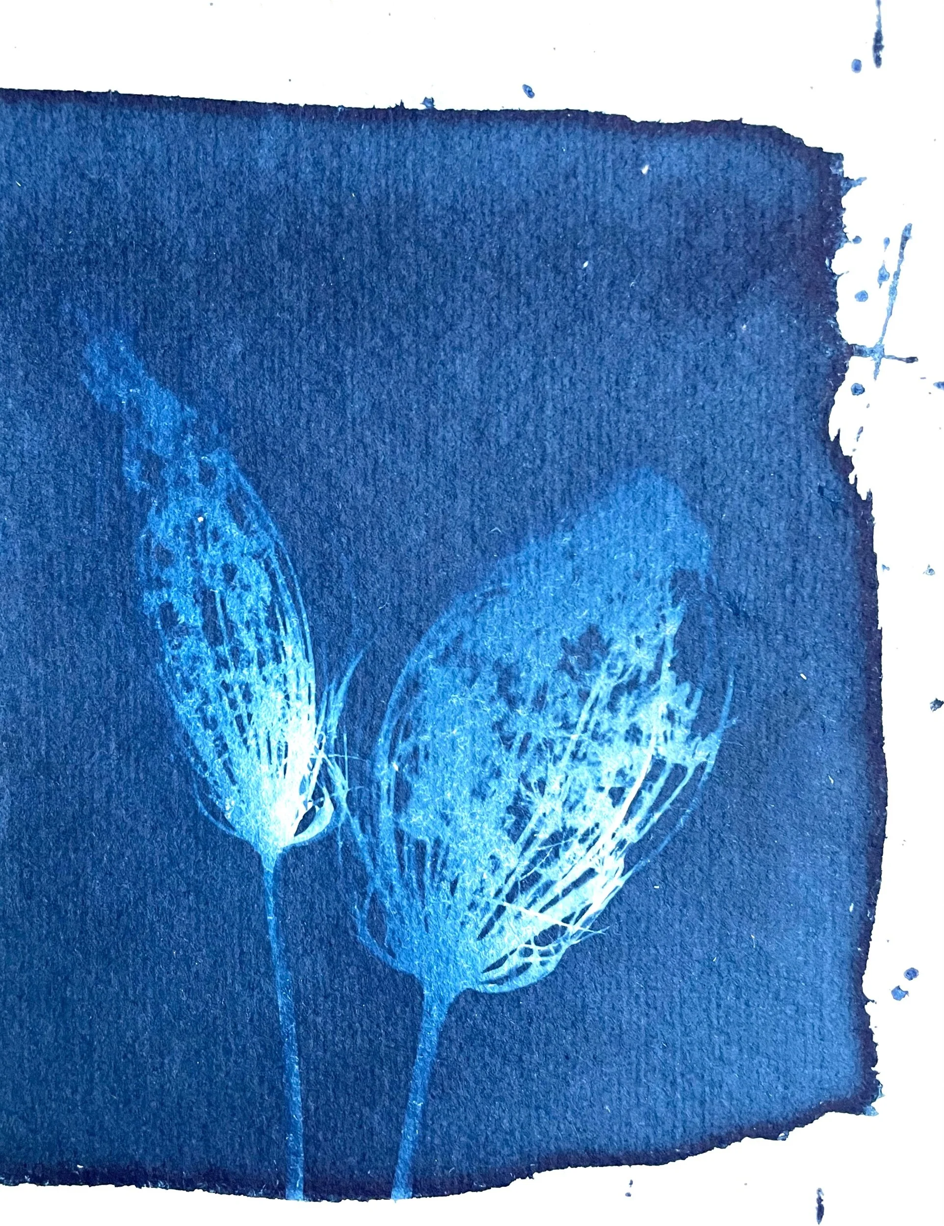 87337BC7-50E1-4581-A753-0709E6CB0660