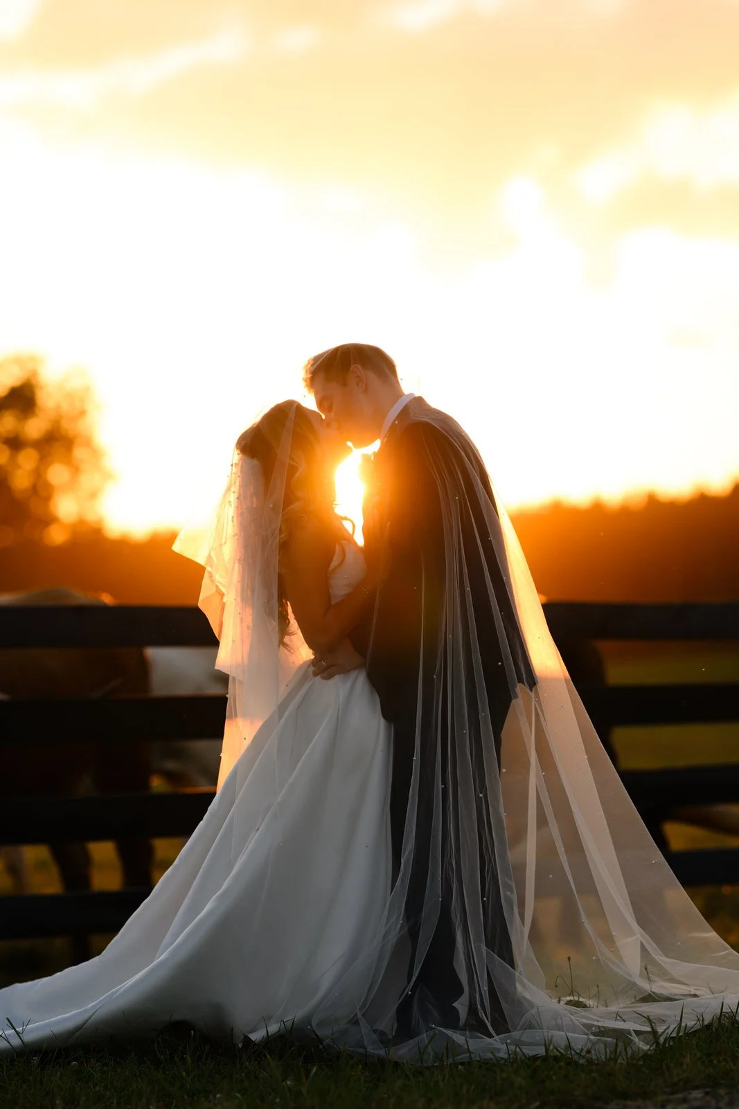 Bride and groom kissing beneath a sheer veil beside MeadowView’s pasture fence, with golden sunset light shining between their faces.