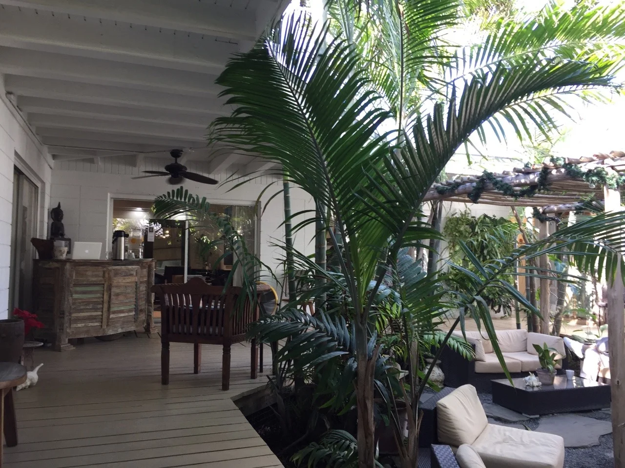 Not a bad place to get my hair done. Lucy would love this, and love Key West. I miss her.
