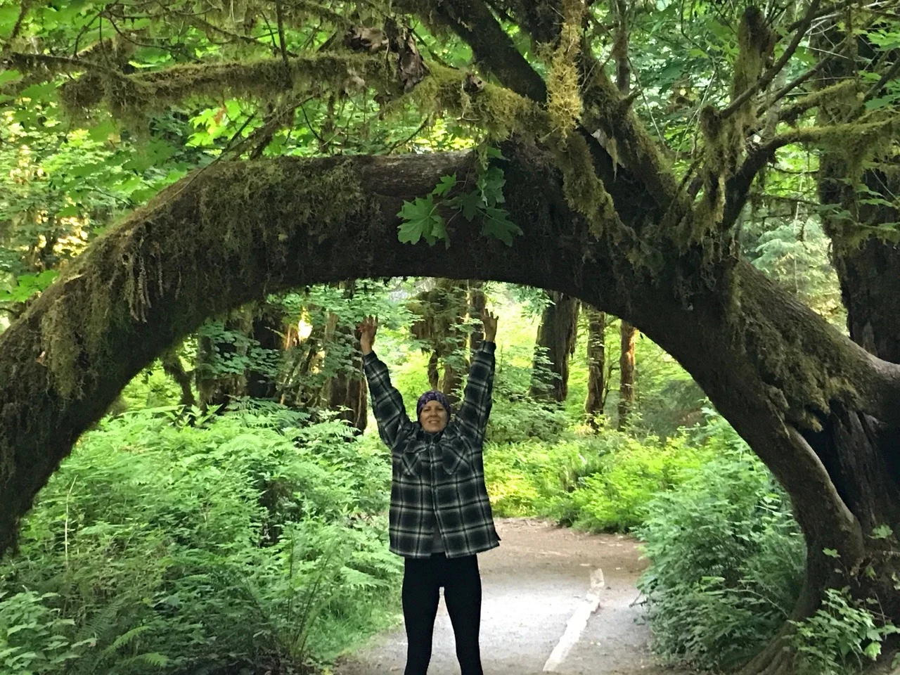 Walking the Hoh Rainforest “Halls of Mosses” trail
