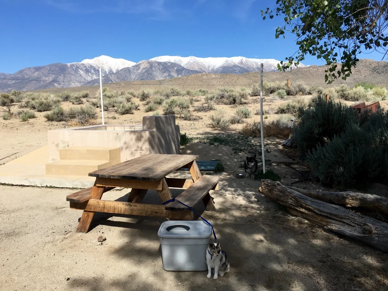 Background: White Mountains; Midground: Hot Tub; Foreground: kitty cat