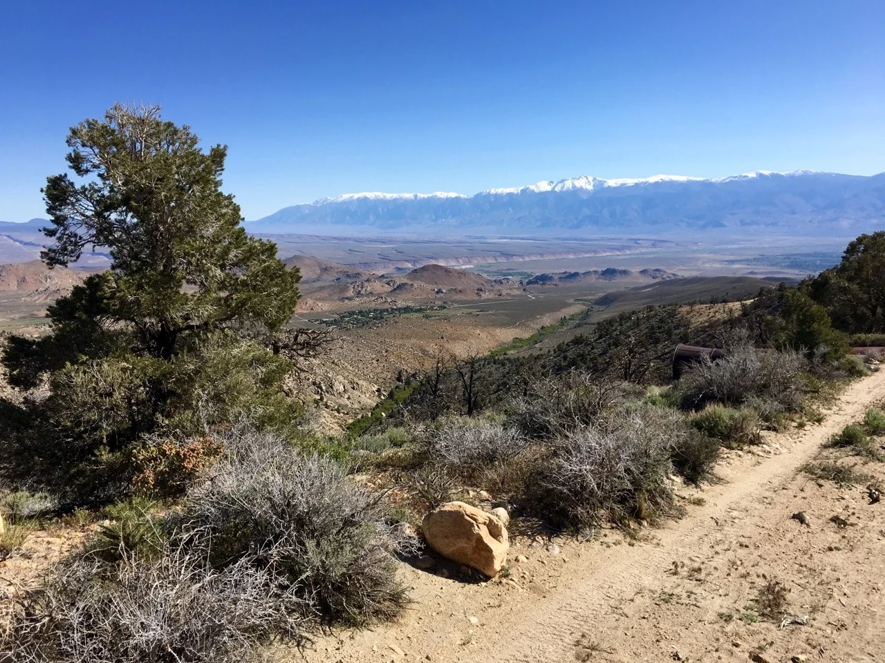 White Mountains to the east