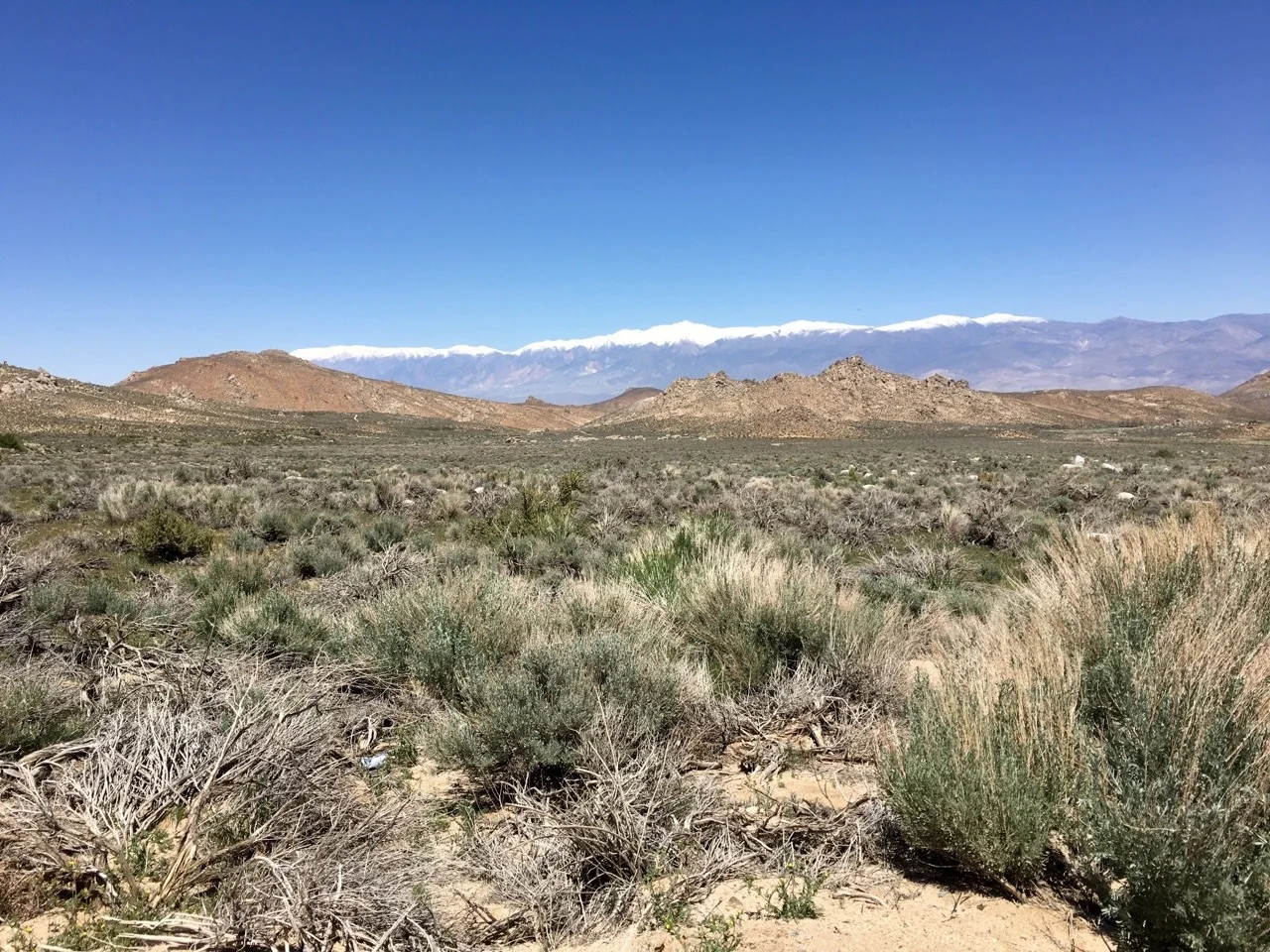 Buttermilk Road