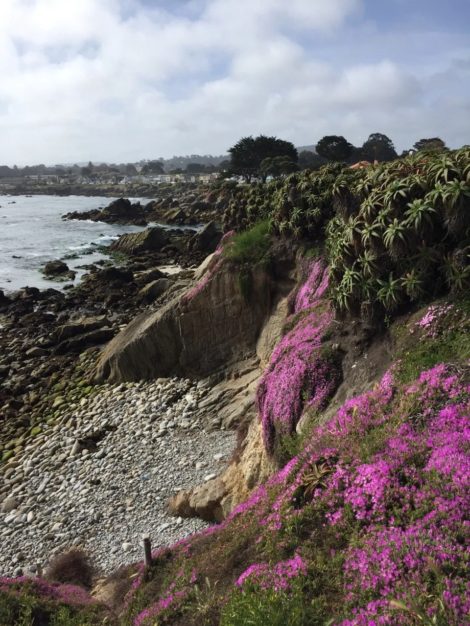 Monterey waterfront morning run.