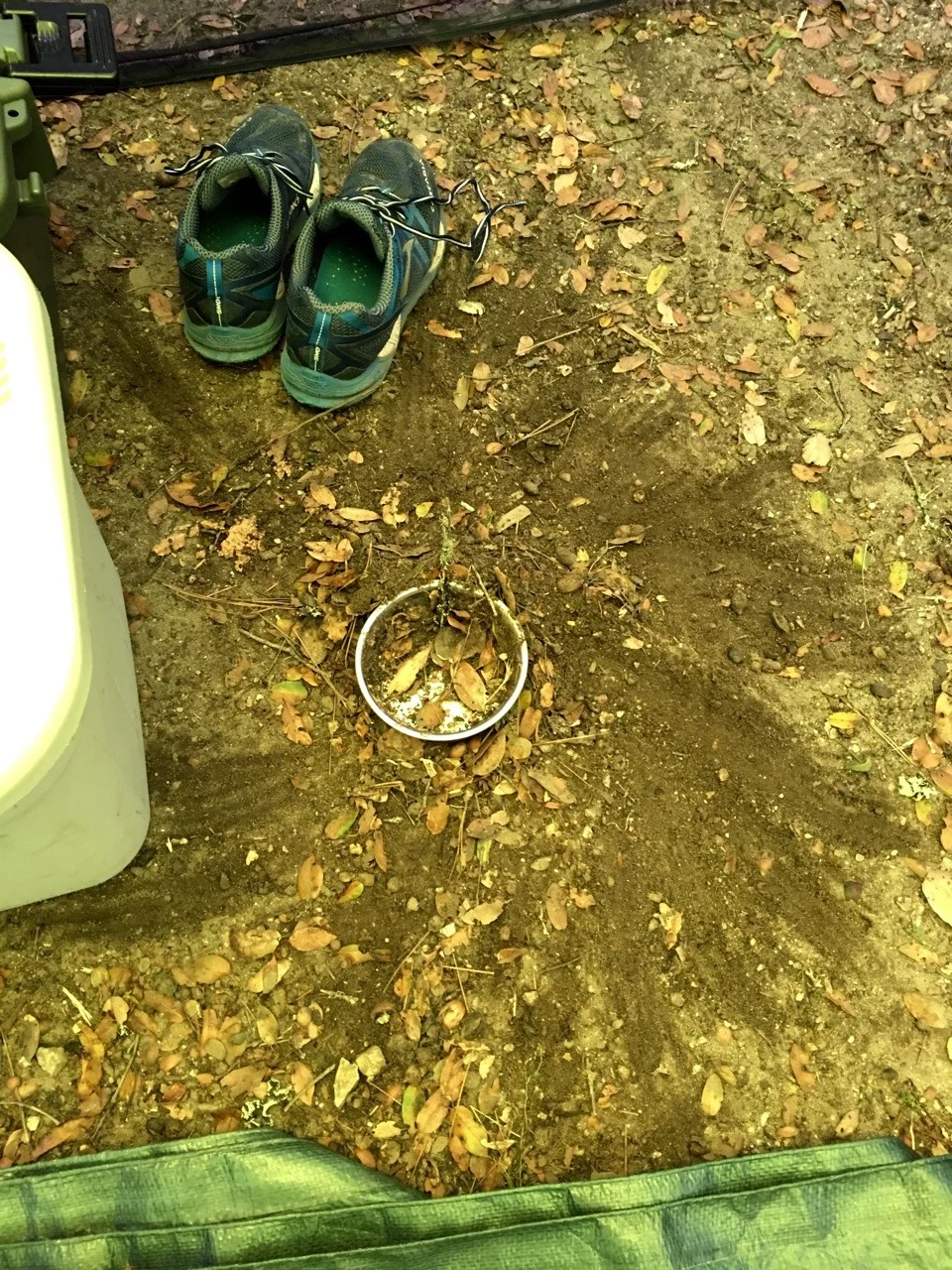 T'Chat buries her food!