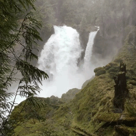 tumblr_o5jxlypgWH1u8tey6o3_400.gif