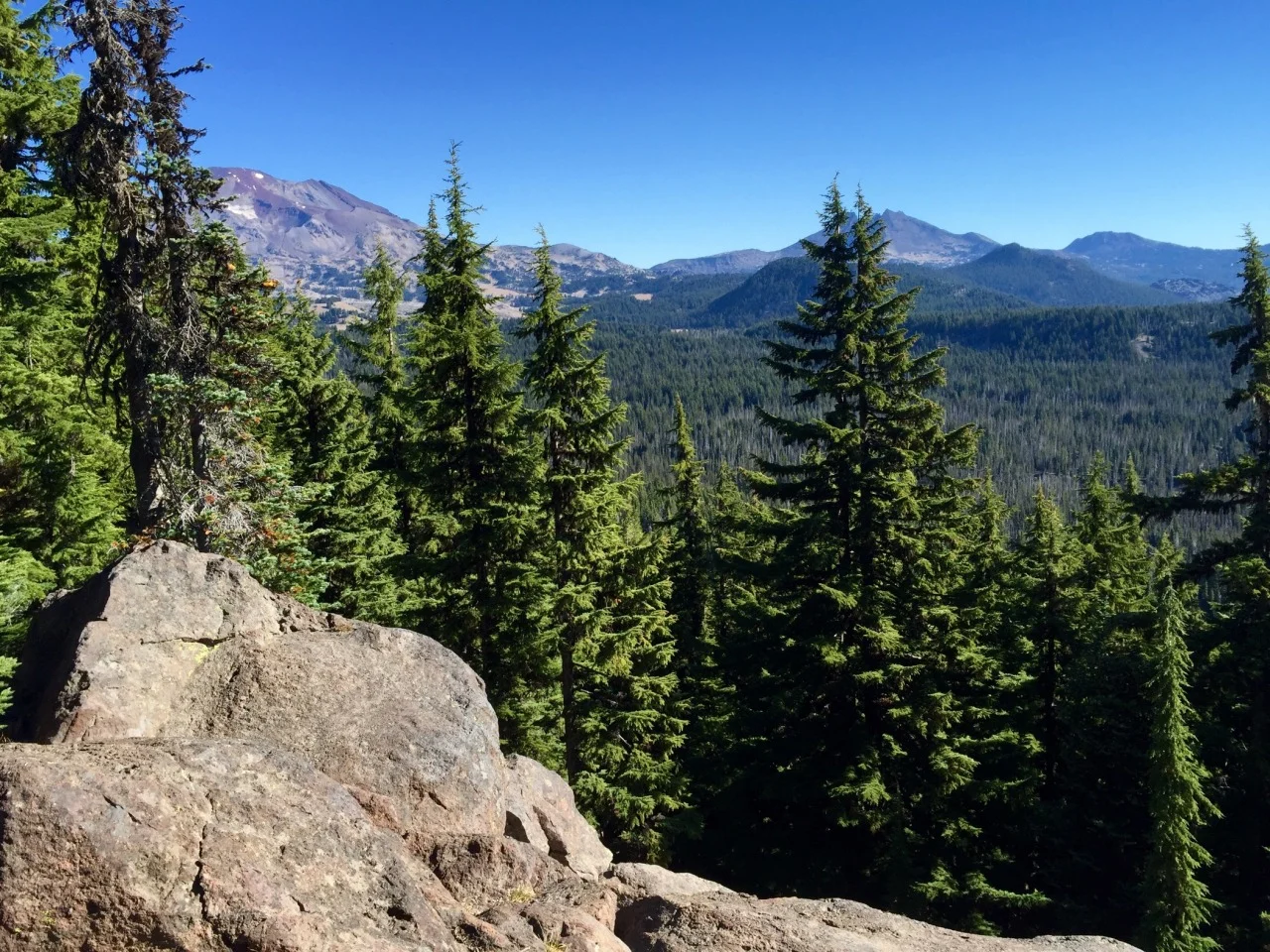 From left to right: South Sister and Broken Top (behind the pine)via https://dayone.me/2ct0zOf
